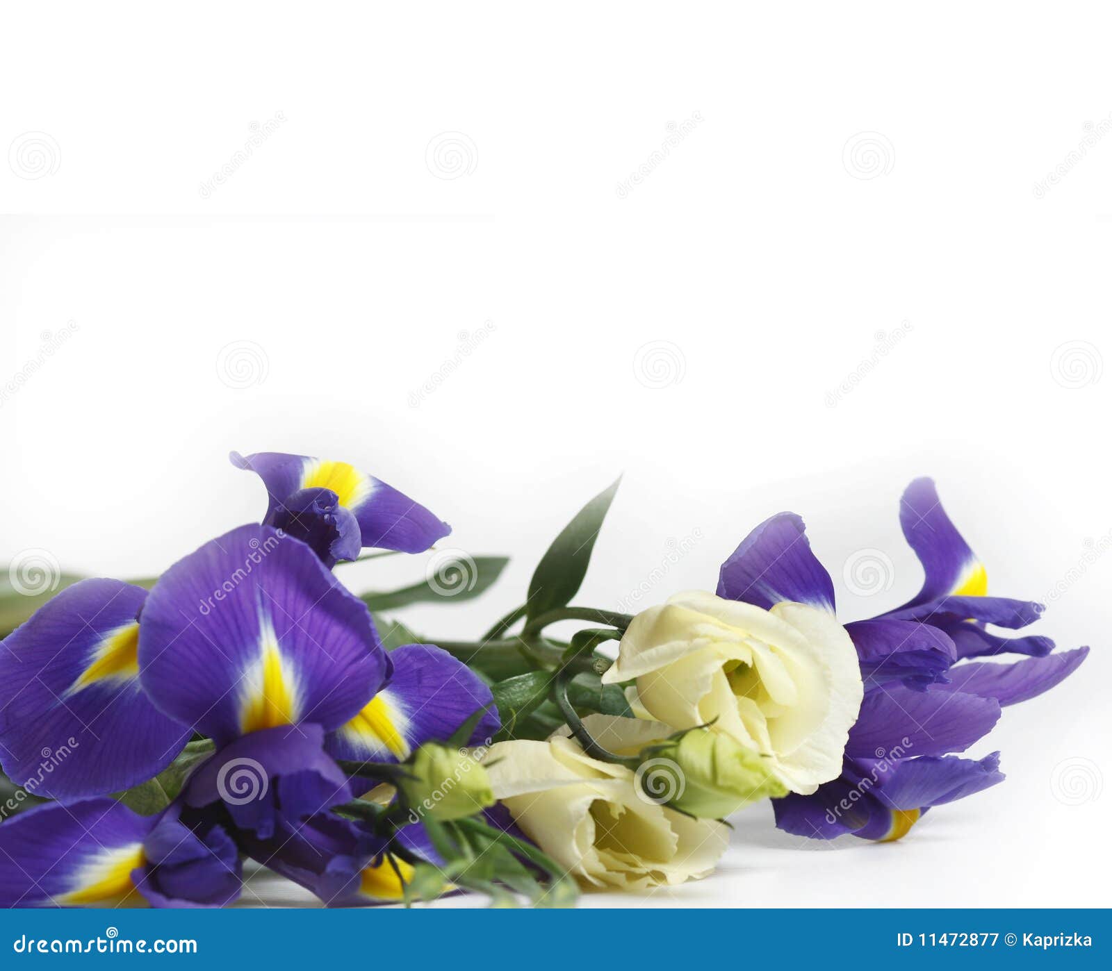 clipart delicate flowers - photo #37