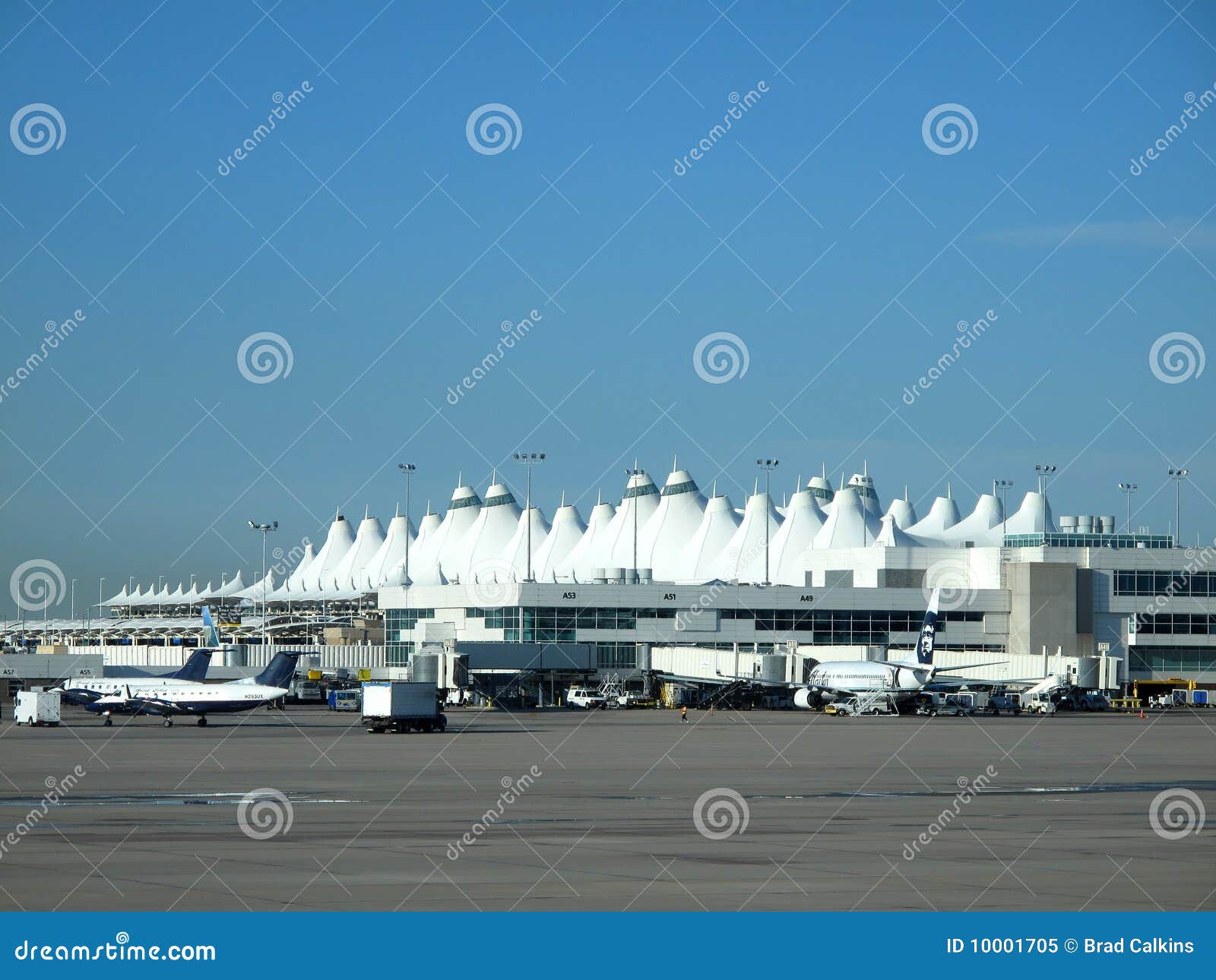 Nature Photography Denver Airport