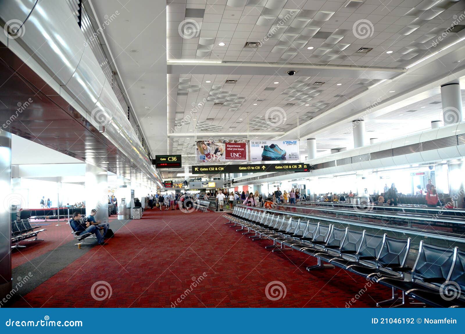 Nature Photography Denver Airport