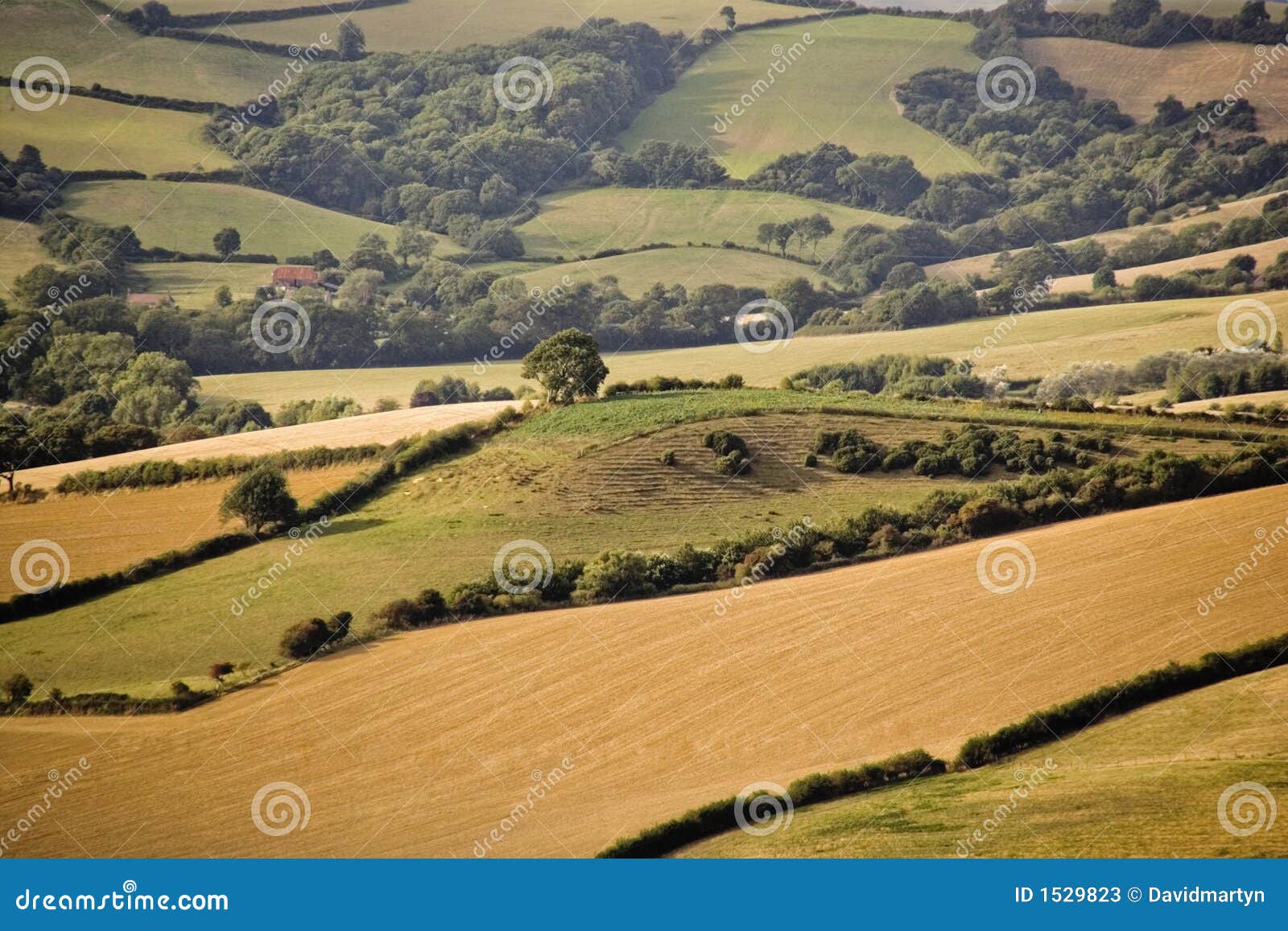 Devon countryside scenic country rural landscape farmland.