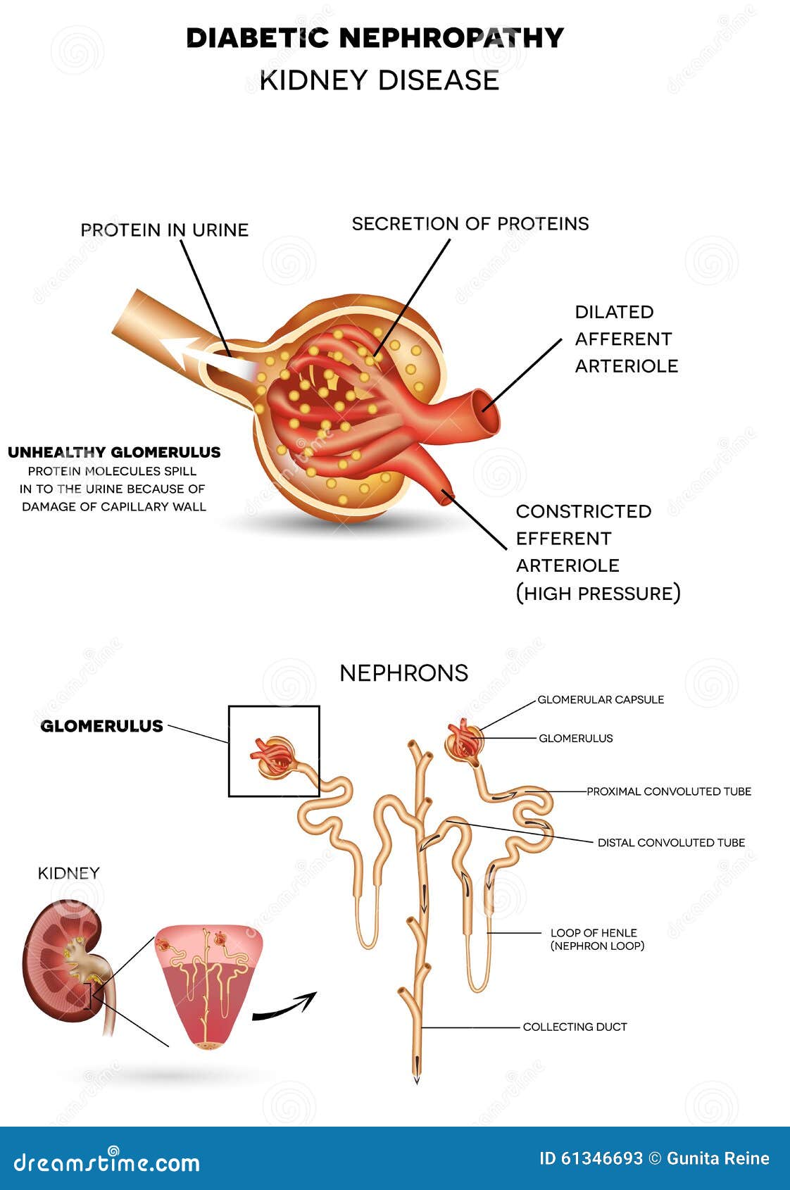 book fundamentals of pathology