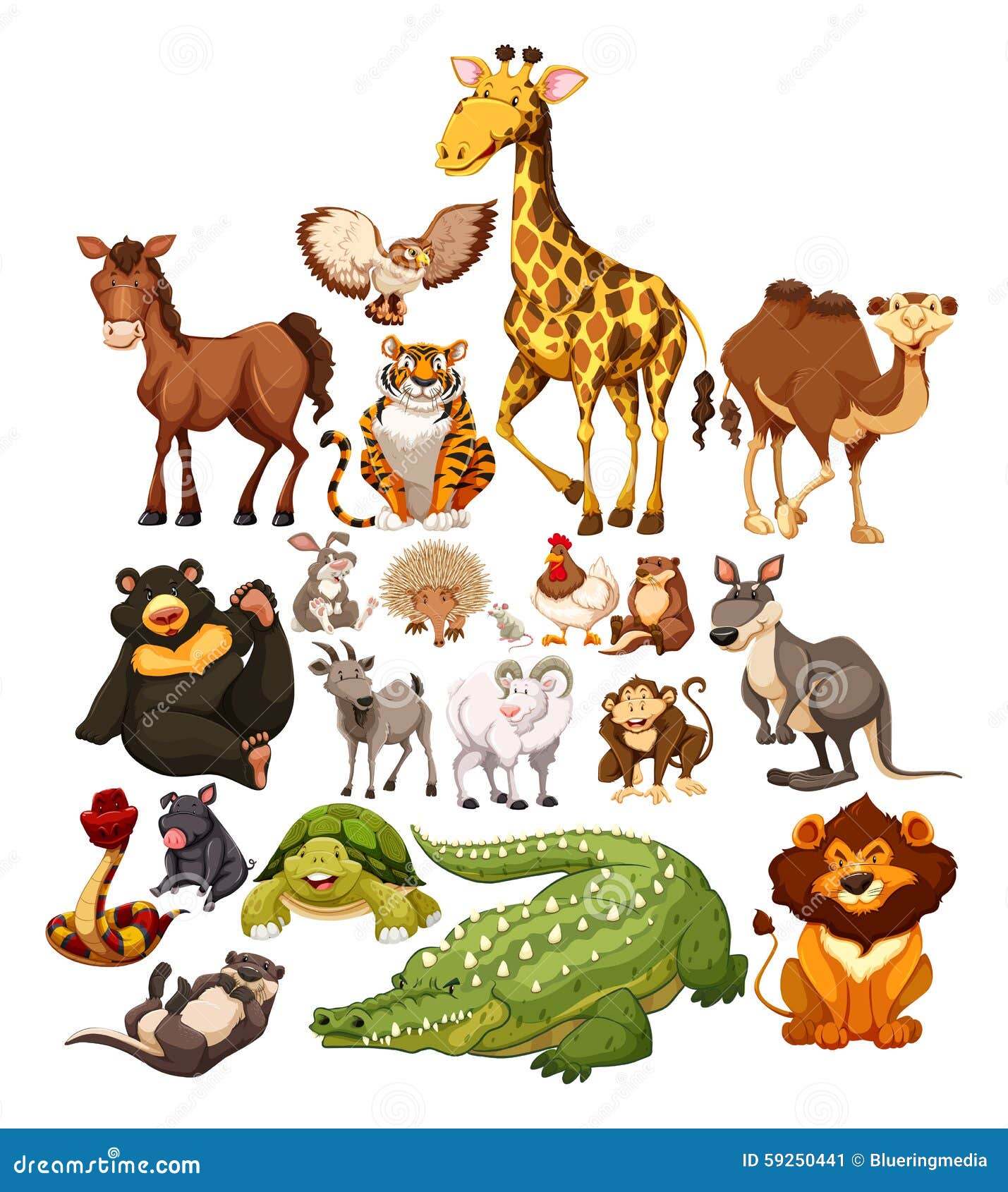 Different Of Animals Different Of Animals