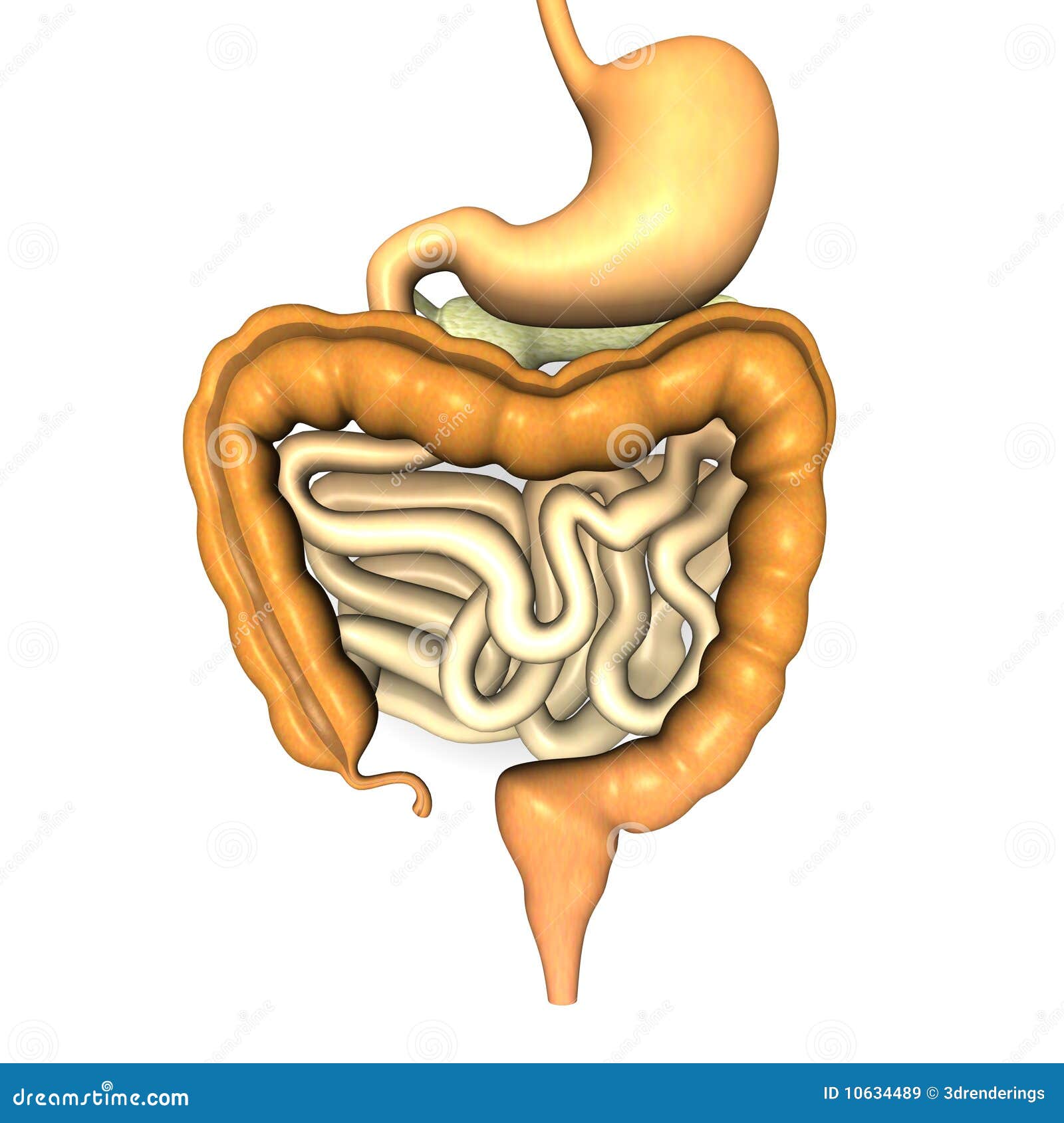 download membrane proteins