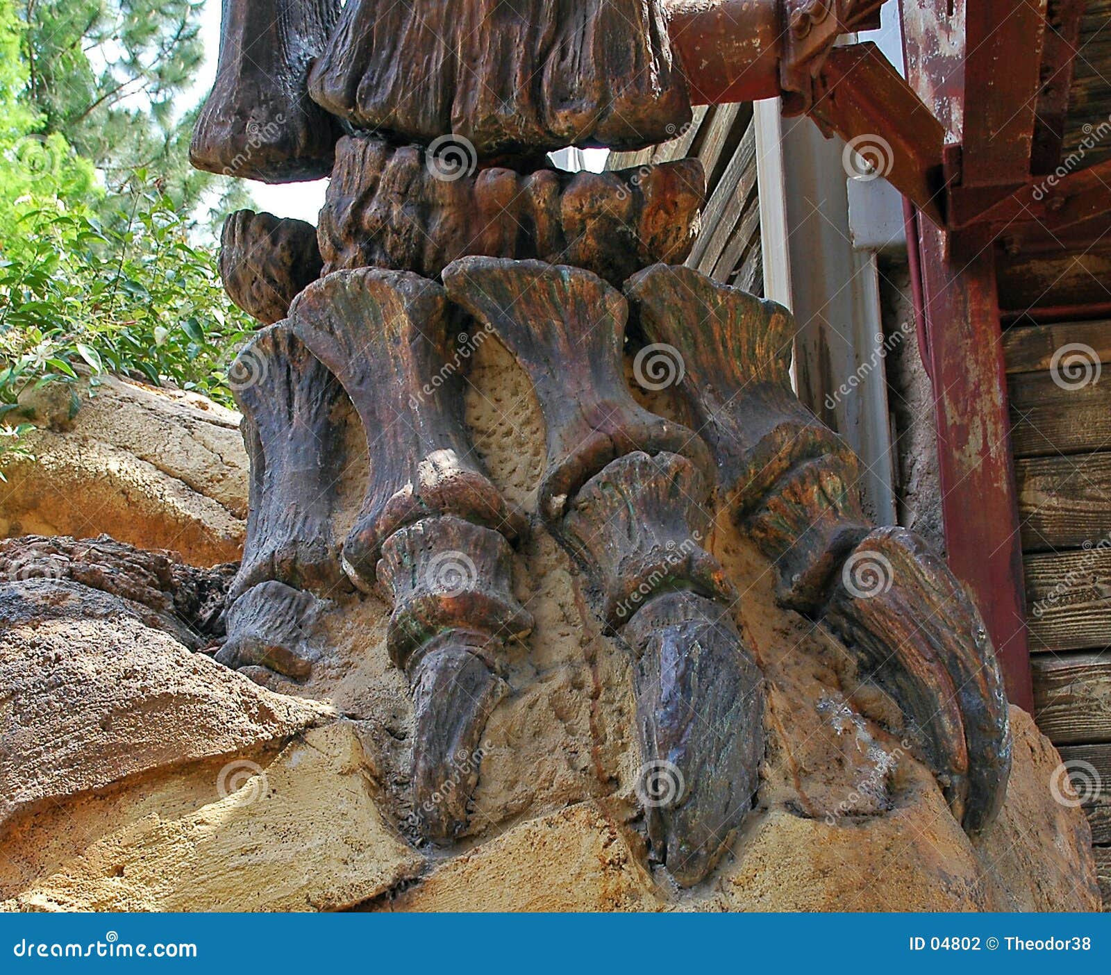 dinosaur bones in rock
