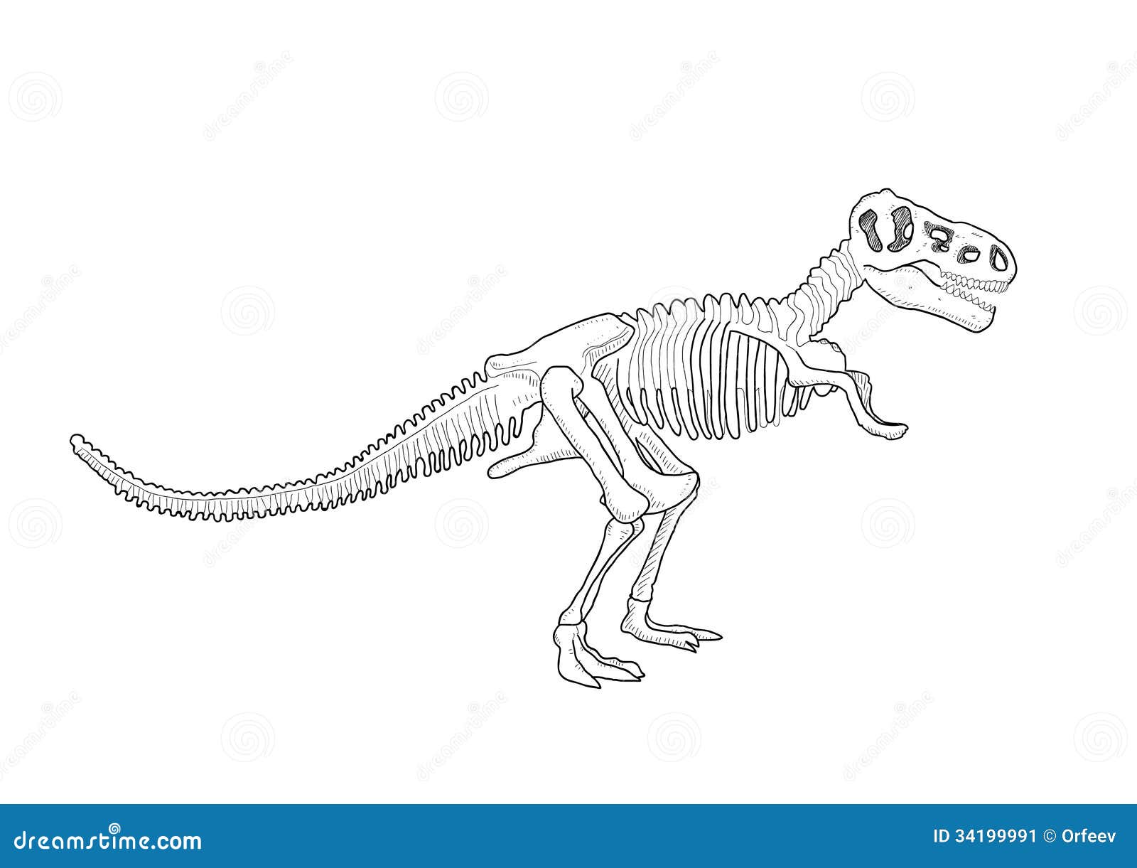 clipart dinosaur bones - photo #42