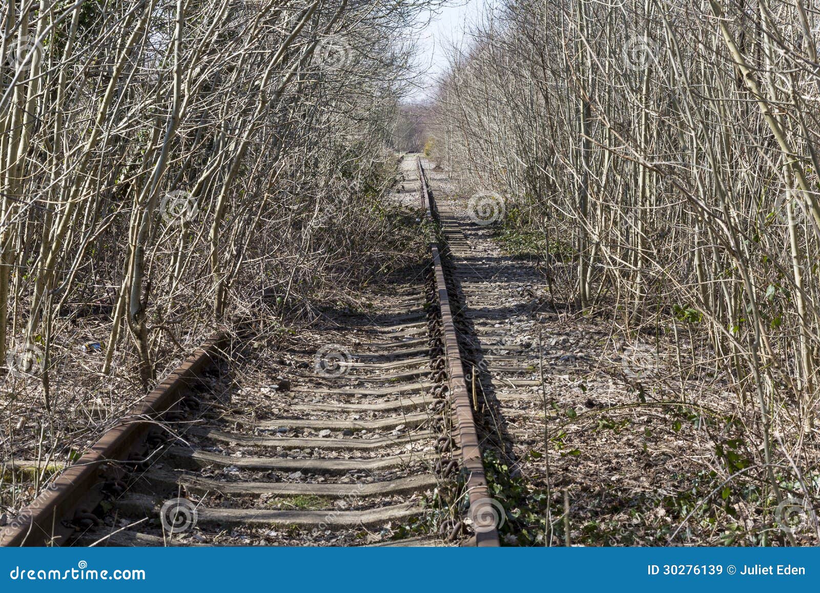 Overgrown Rail Track Royalty Free Stock Images - Image: 30276139