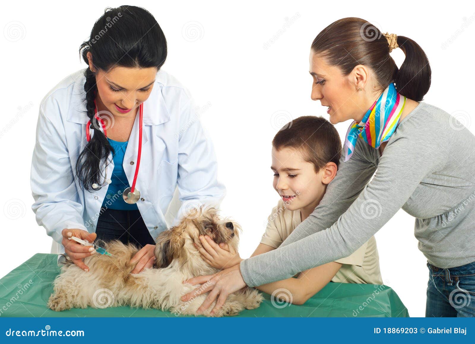 Doctor Vet Vaccine Puppy Dog Stock Photos - Image: 18869203