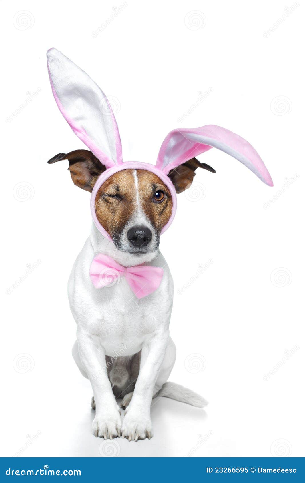 free clipart dog dressed up - photo #44