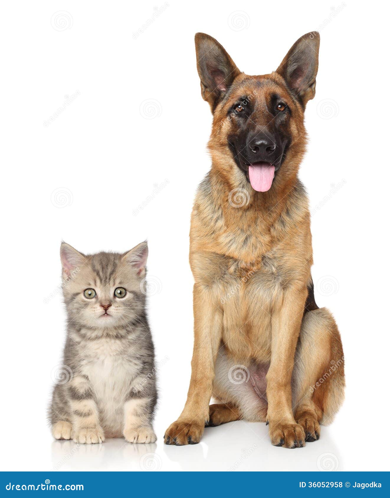 free clipart of dog and cat together - photo #35