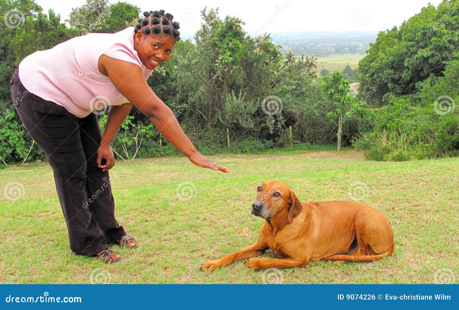 Nice african american woman showing her obedient Rhodesian Ridgeback ...