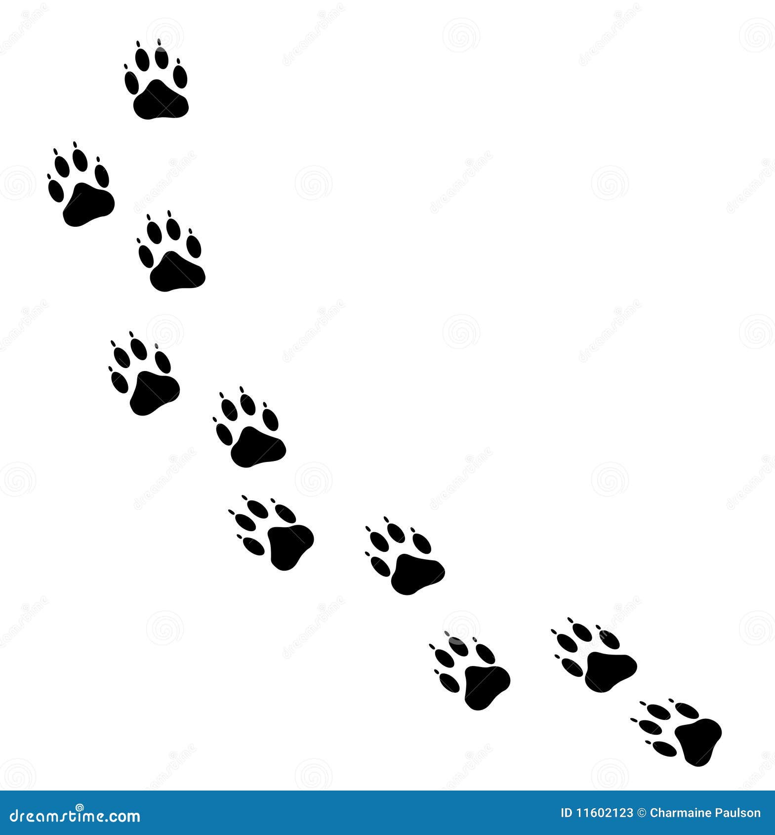 animal tracks clipart - photo #43