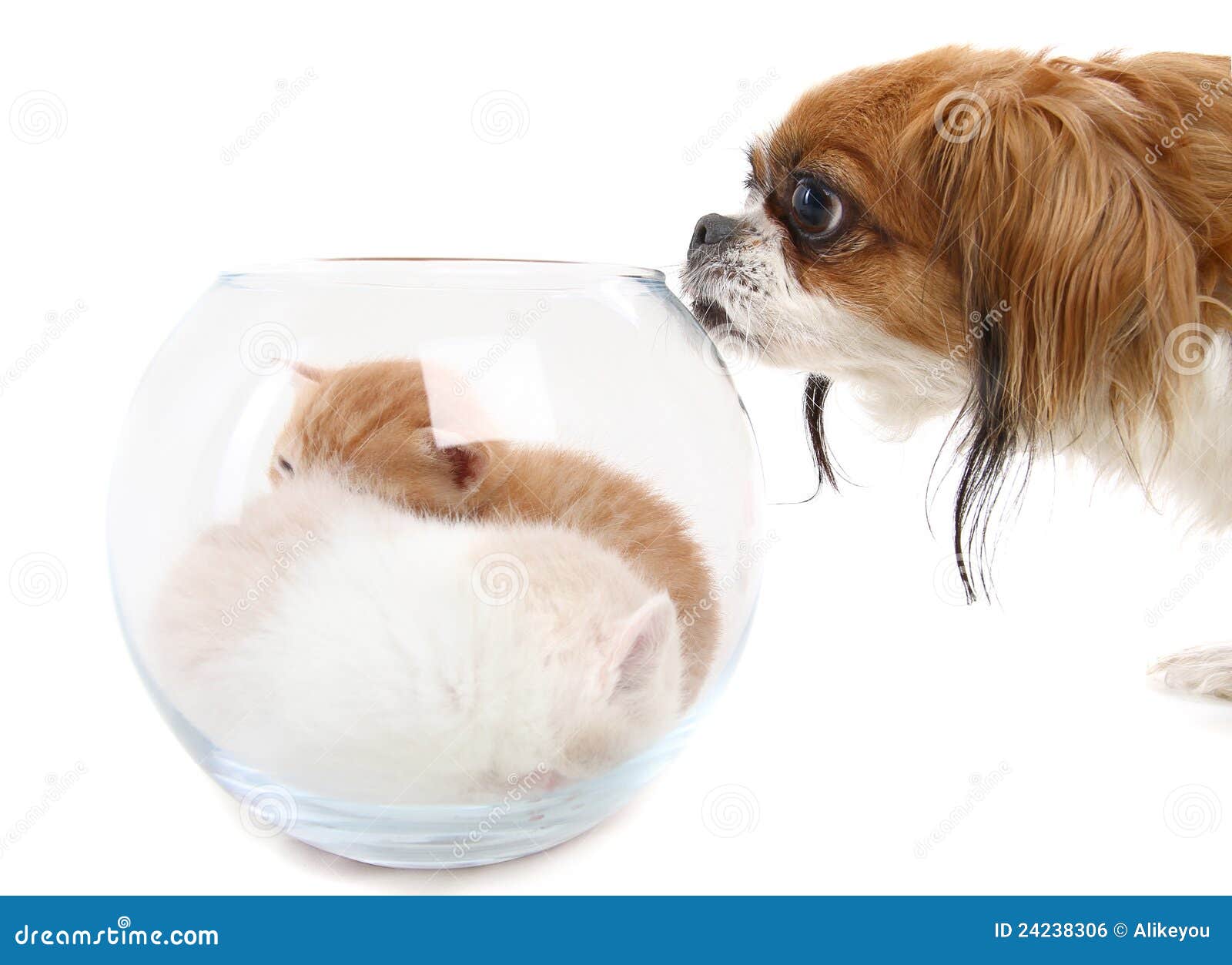 dog sniffing clipart - photo #41