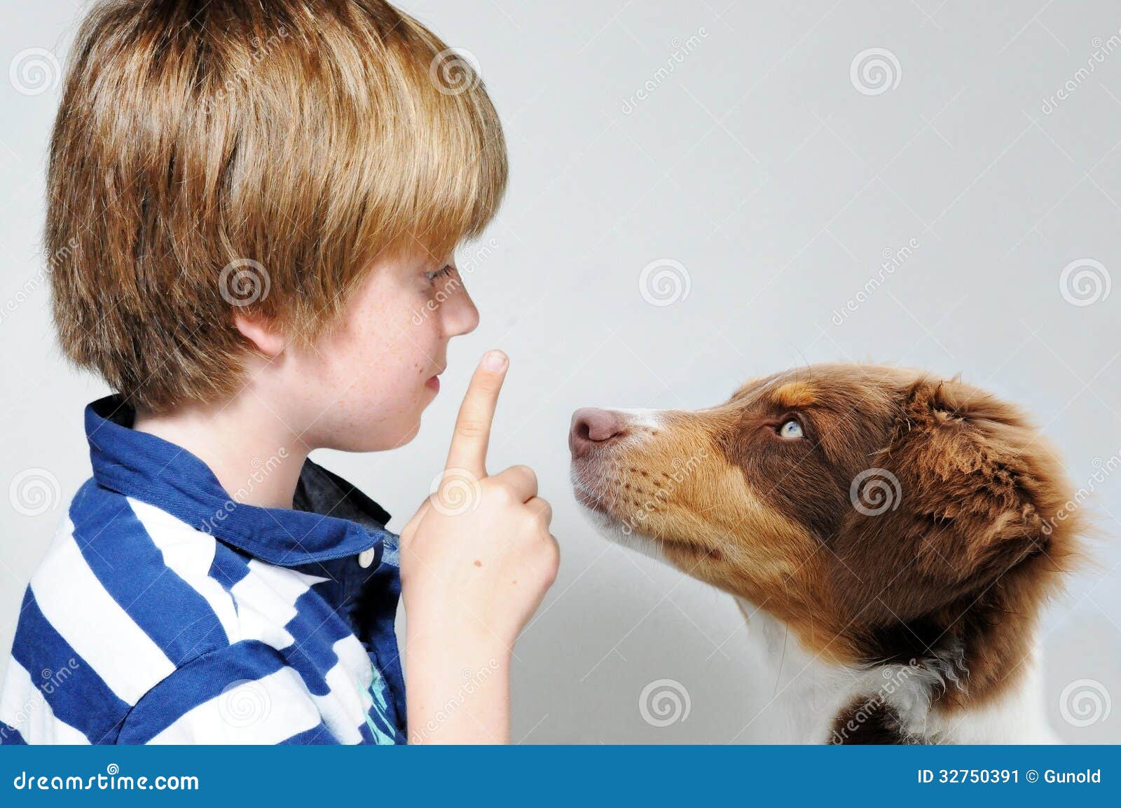 Dog Teaching Stock Image - Image: 32750391