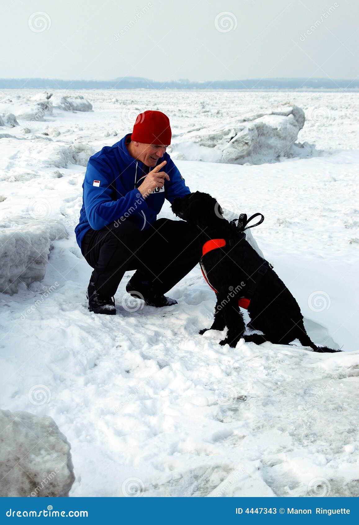 Doggy Training Stock Photos - Image: 4447343