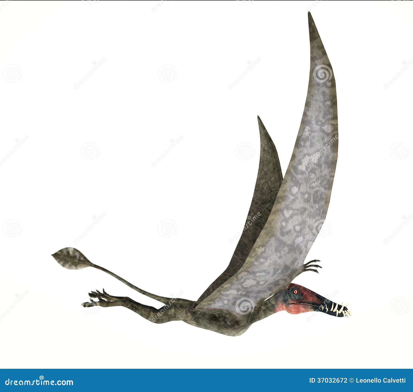 flying dinosaur with crest on head