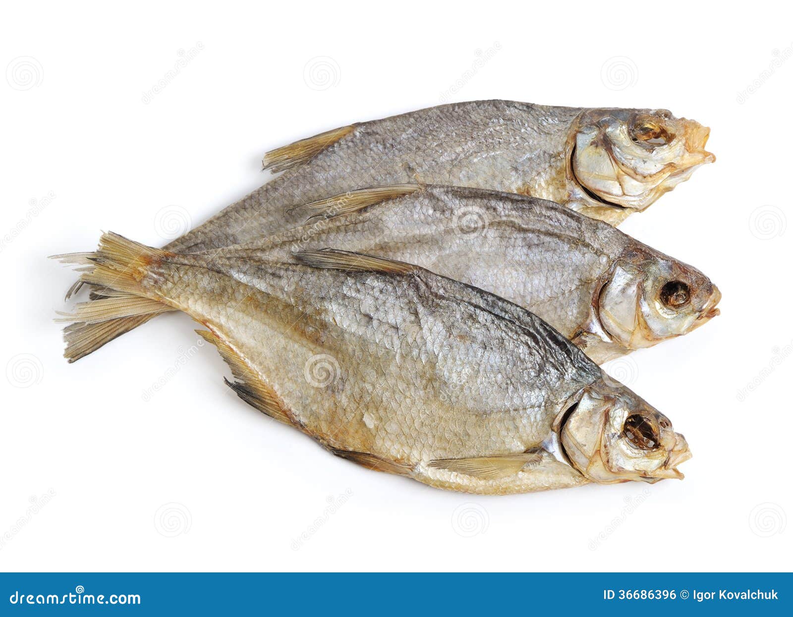 clipart dried fish - photo #35