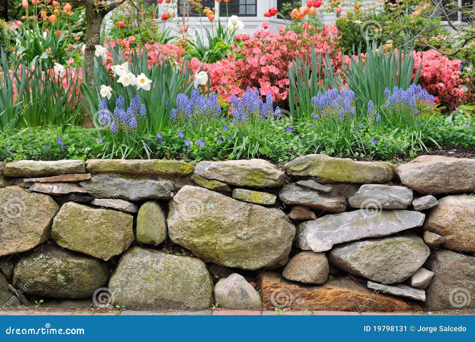Dry Stone Wall And Colorful Garden Stock Image - Image: 19798131