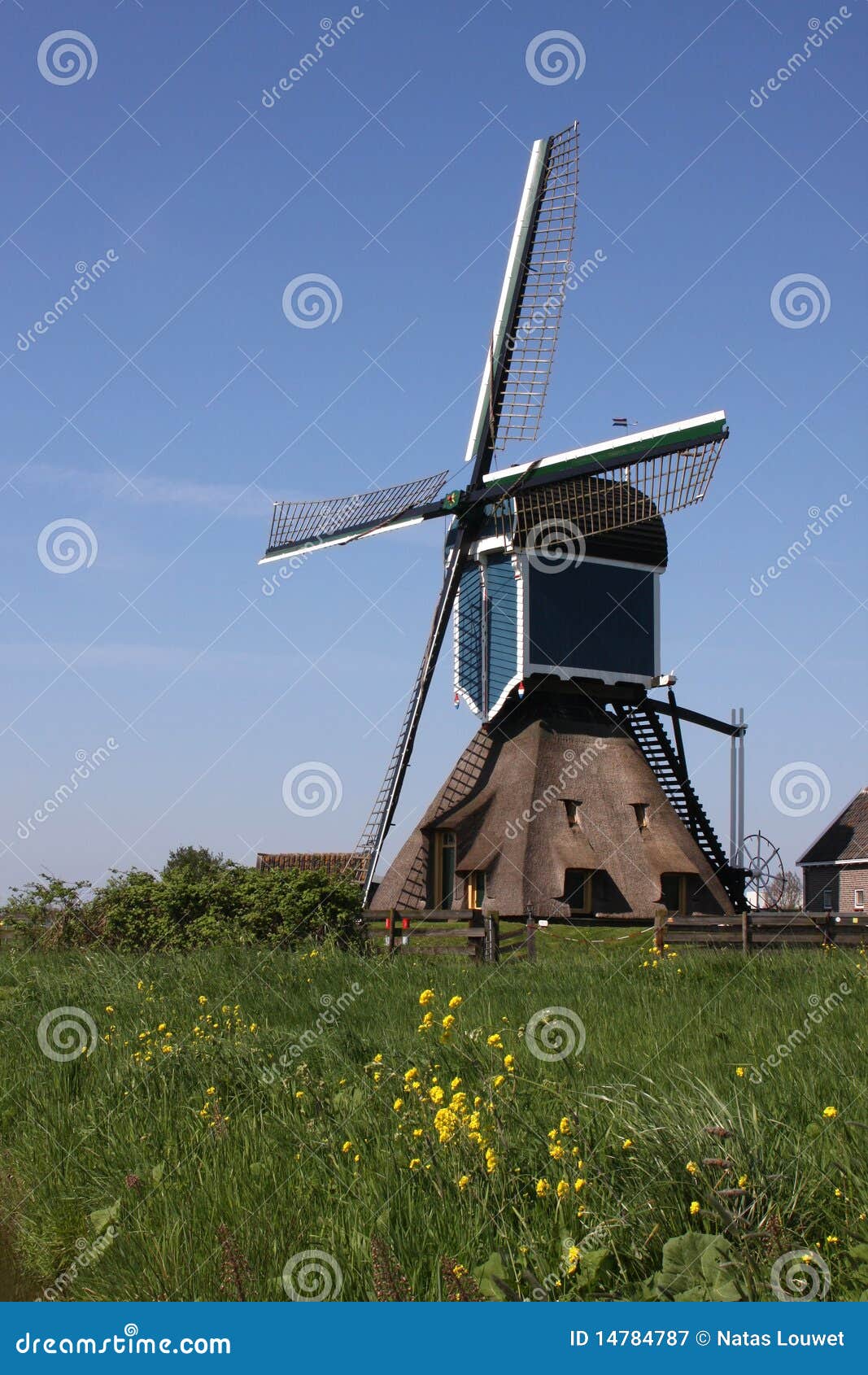 Dutch Windmill Royalty Free Stock Photography - Image: 14784787