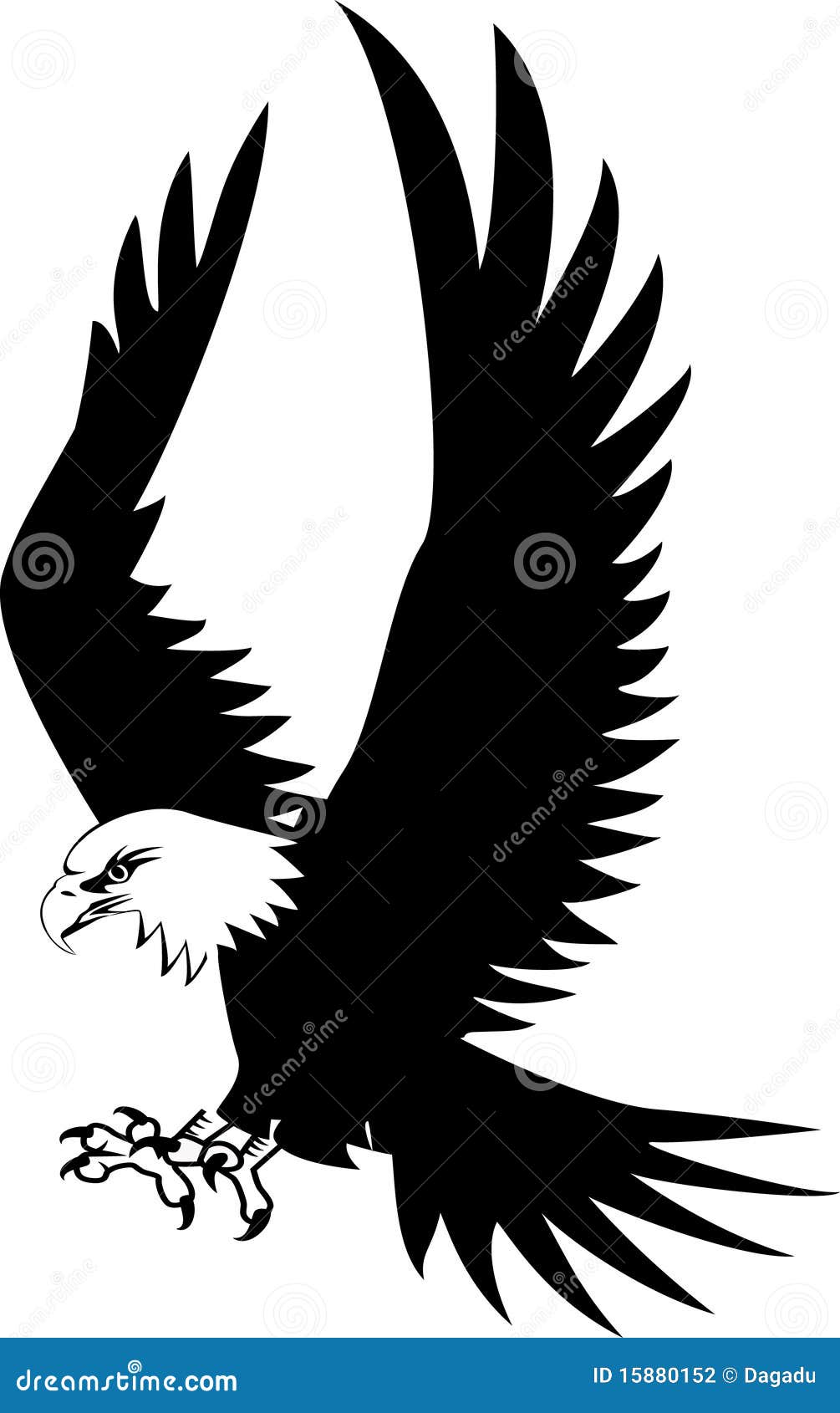 soaring eagle clipart black and white - photo #12