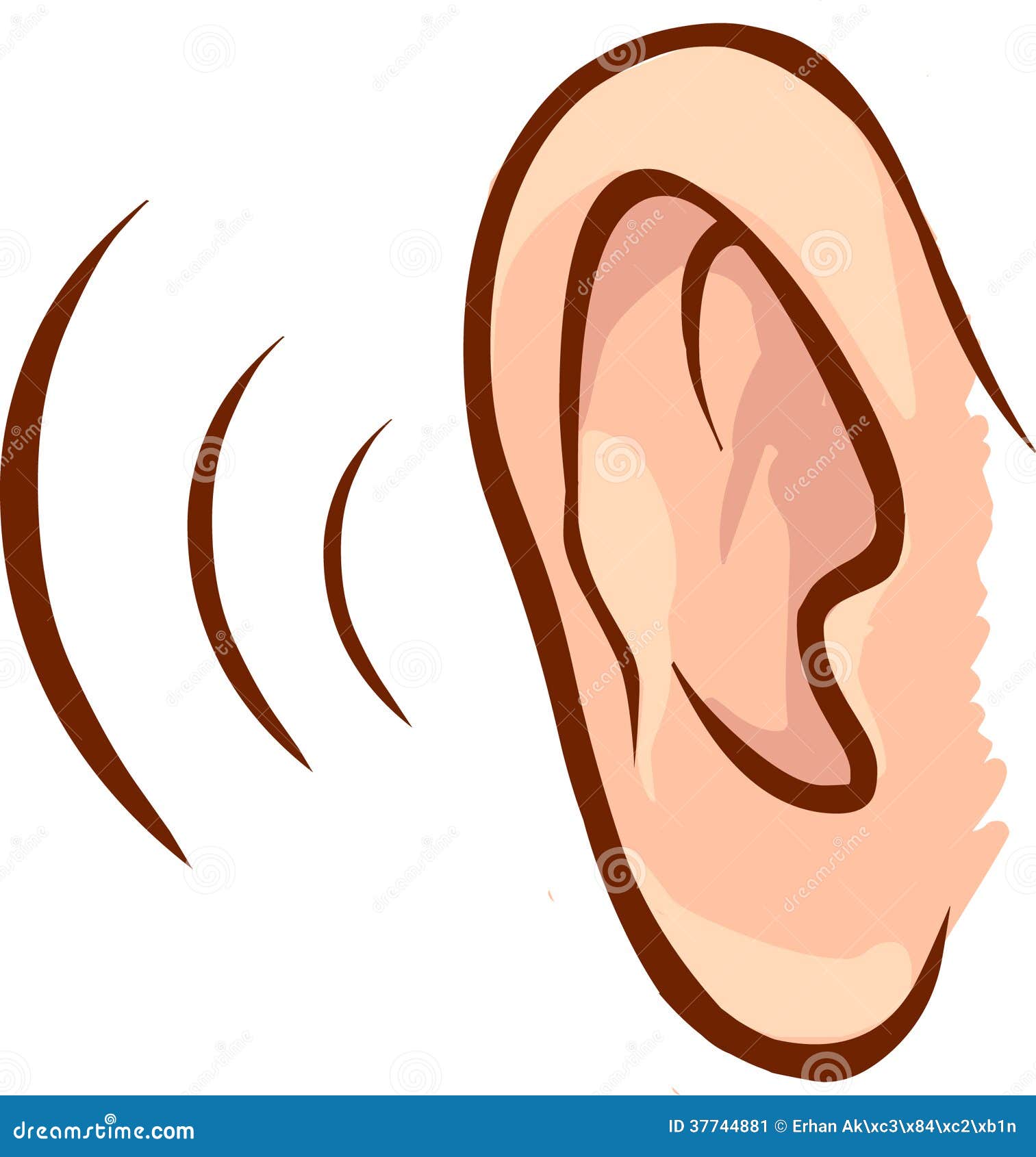 human ear clip art free - photo #21