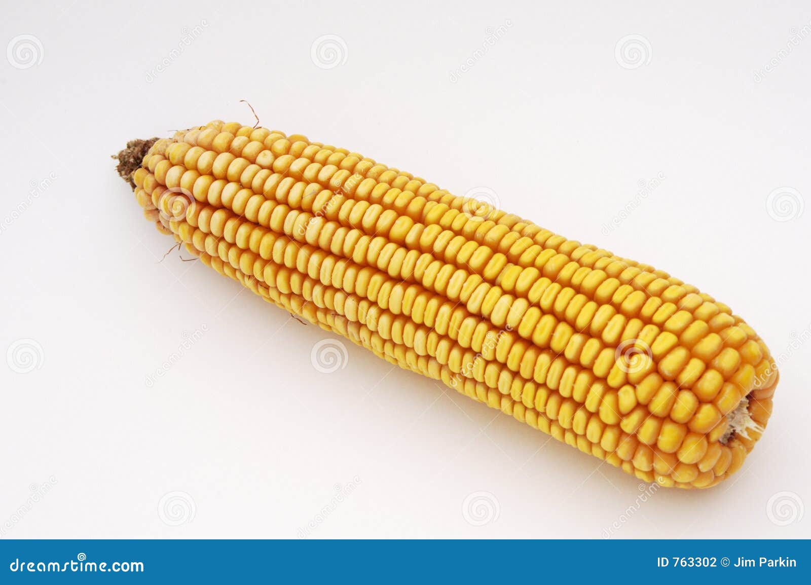 Ear Of Corn Stock Photography - Image: 763302