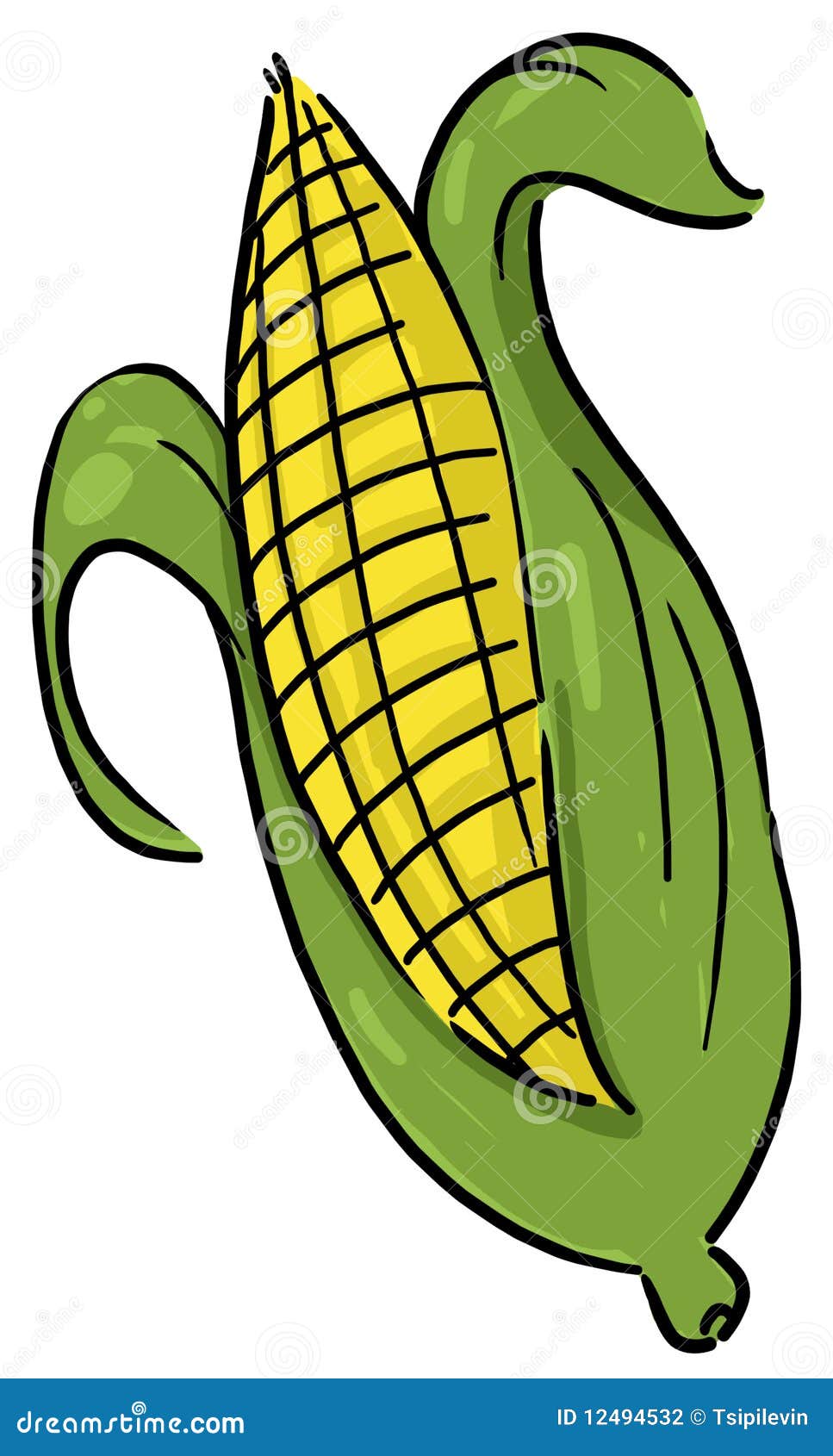 free clipart ear of corn - photo #22