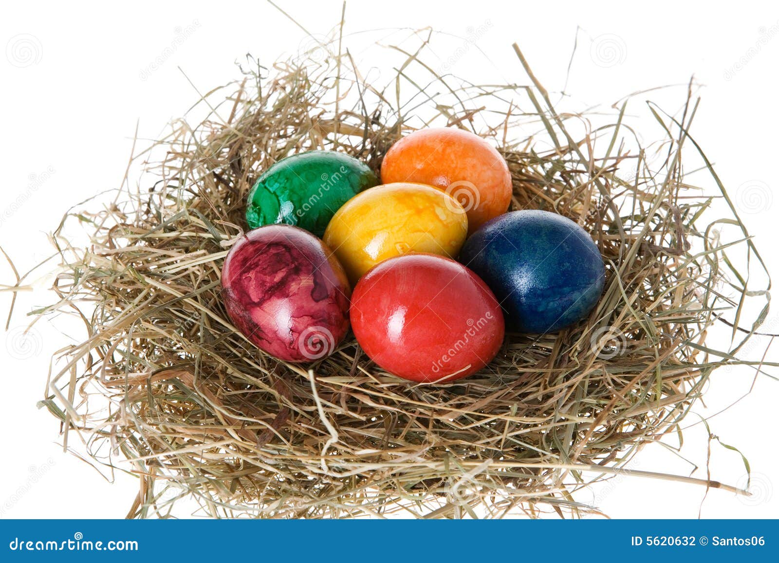 Easter Eggs In A Nest Stock Photo Image Of Tradition 5620632