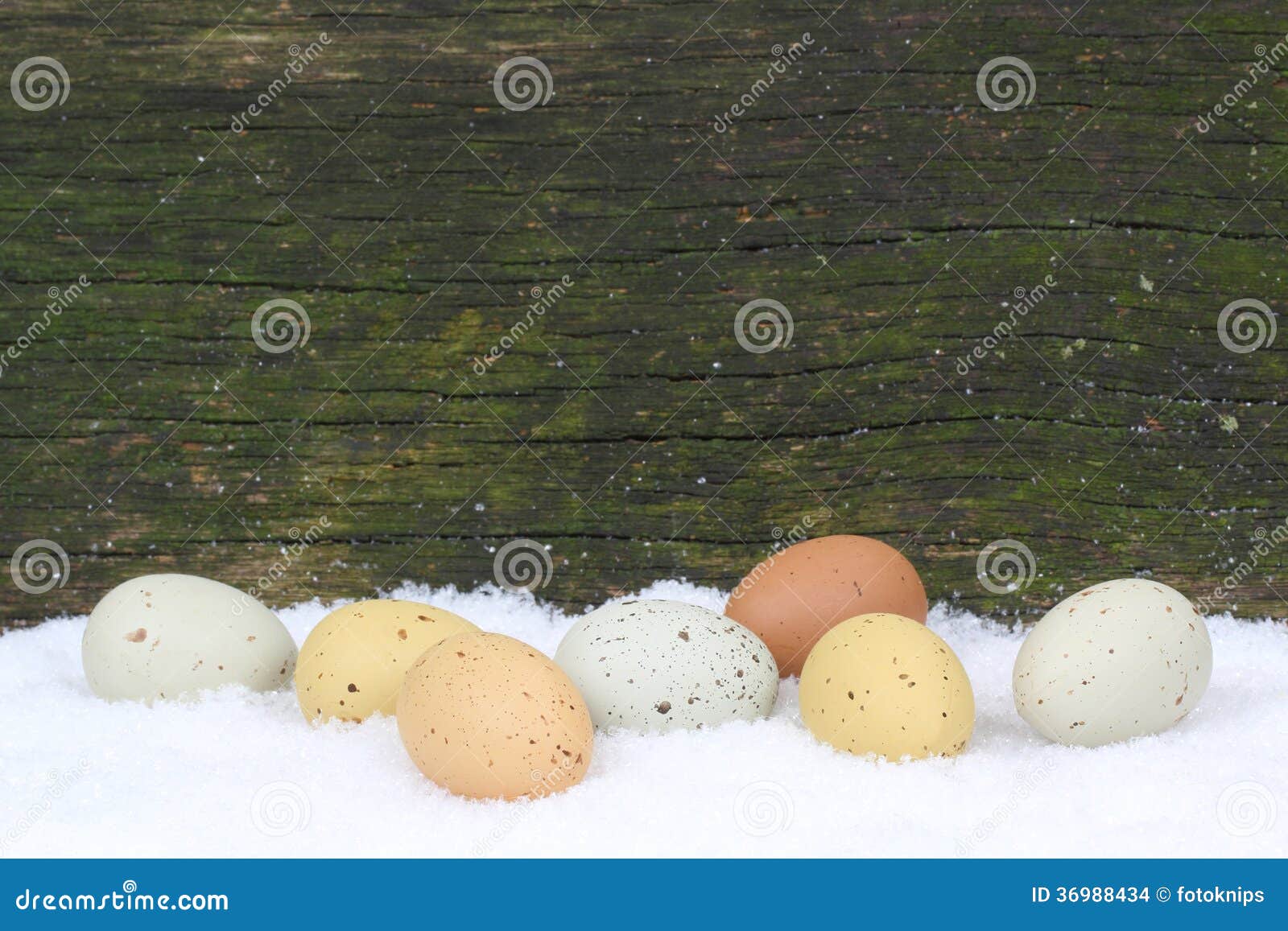 Easter eggs in the snow in front of wood.