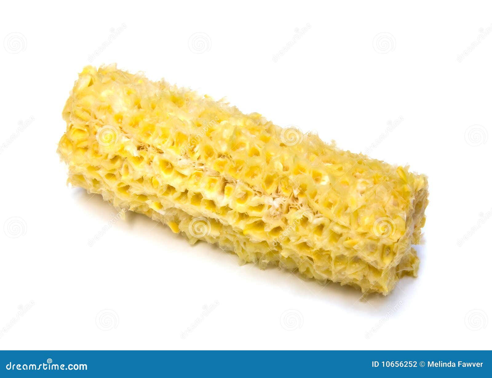 http://thumbs.dreamstime.com/z/eaten-corn-cob-10656252.jpg