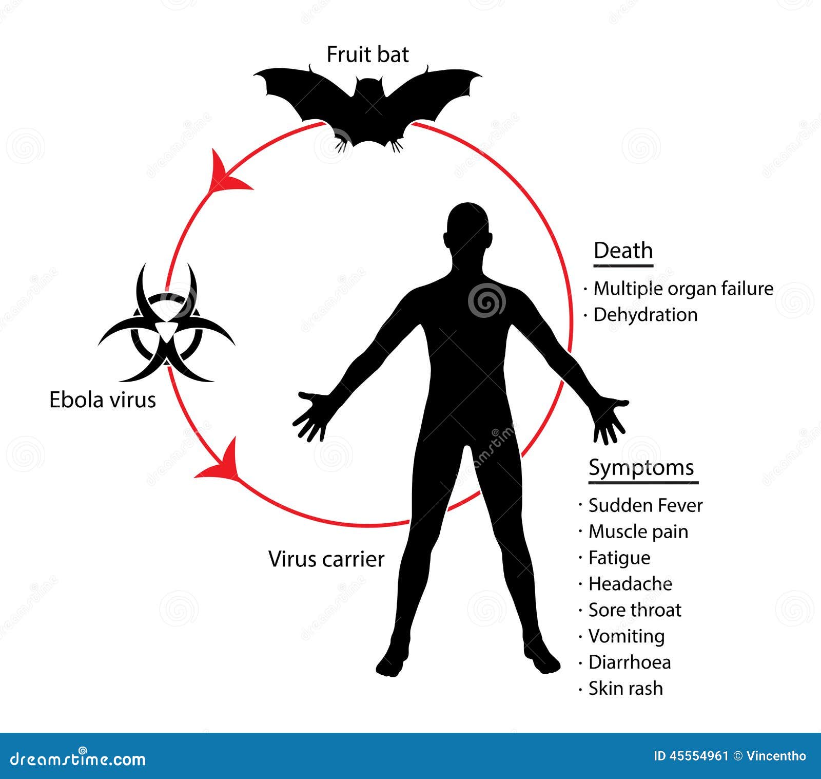 Ebola term papers