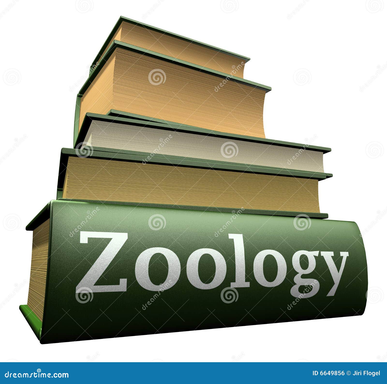 zoology clipart - photo #29