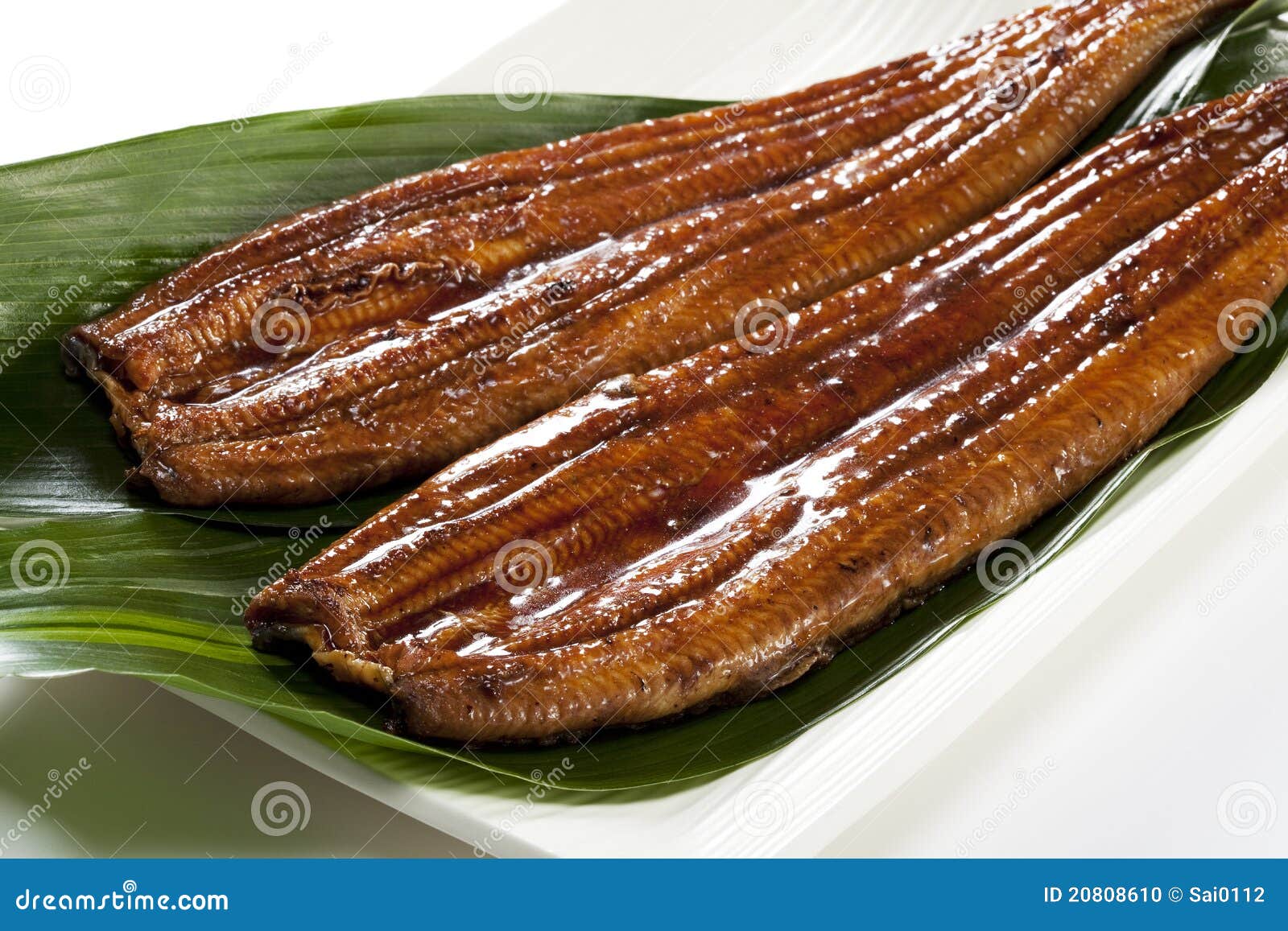 Eel ( Unagi ) Stock Photo Image 20808610