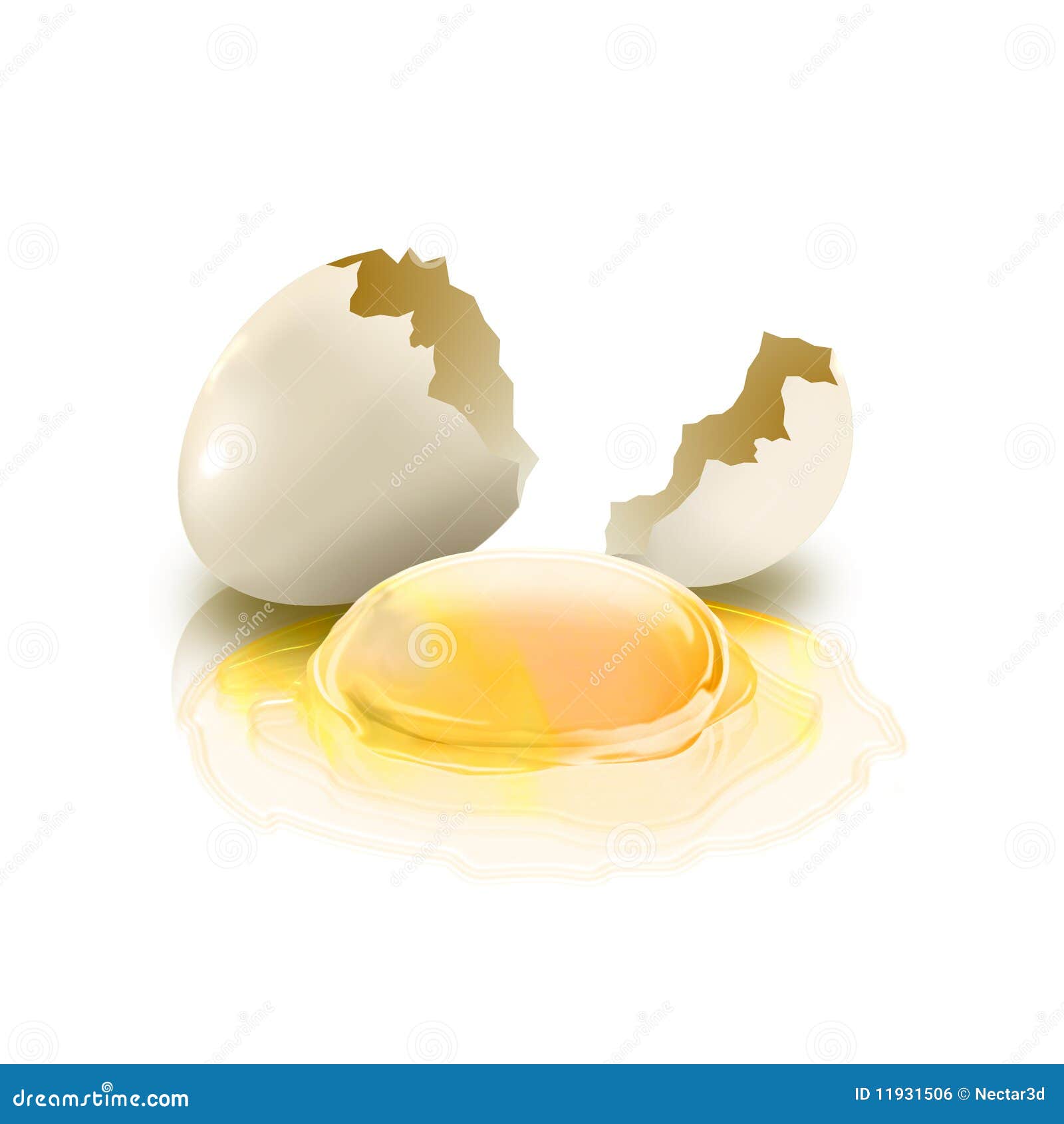 clipart of yolk - photo #48
