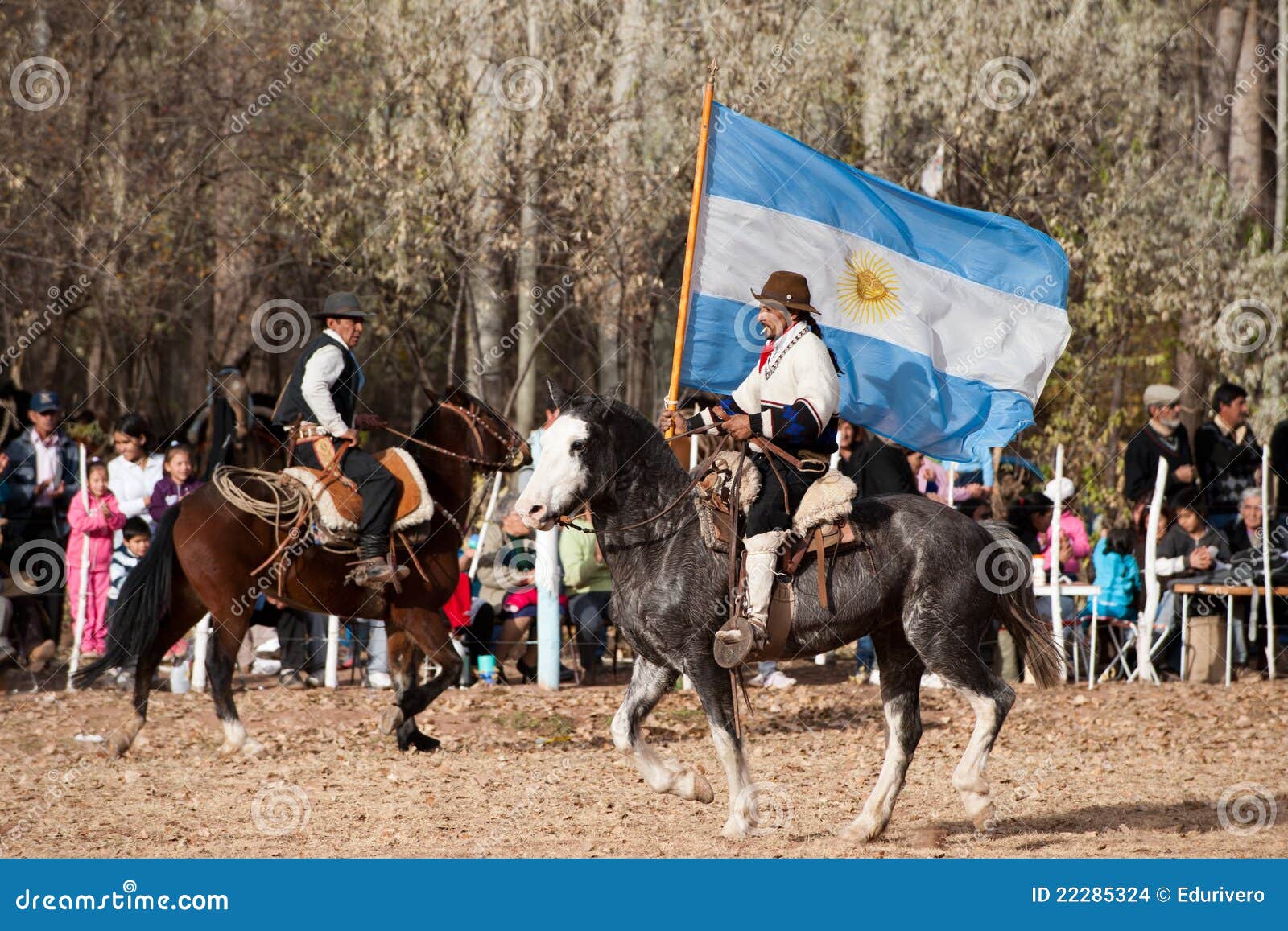 ein-gaucho-mit-der-argentinischen-markierungsfahne-die-ein-pferd-e-reitet-22285324.jpg