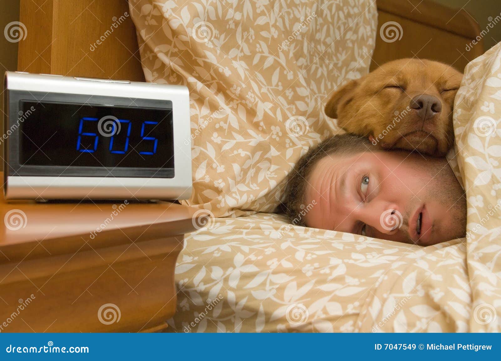 Dog Sleeps On End Of Bed Dog Sleeps On End Of Bed