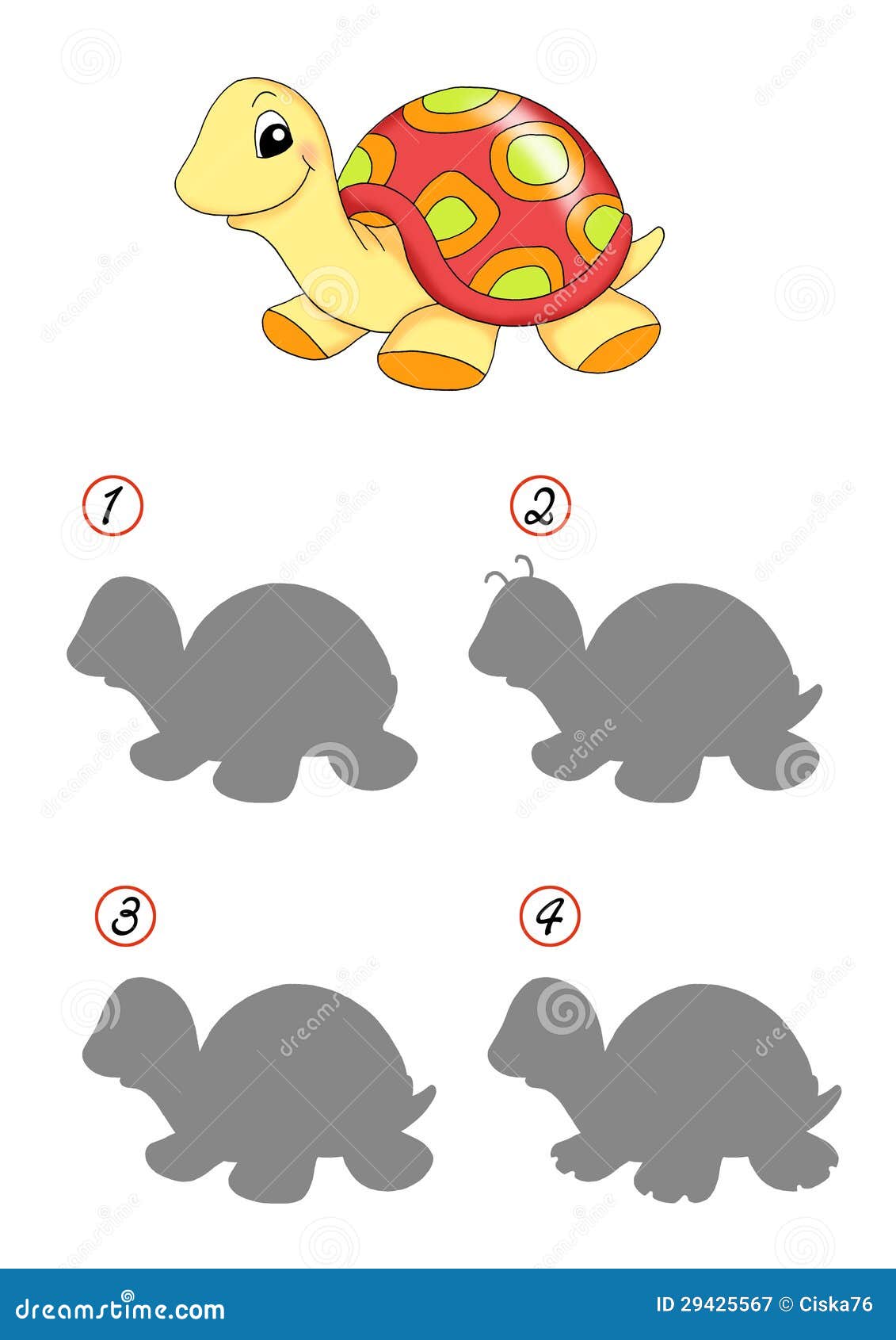 JUEGO DE TORTUGA juego de tortuga: