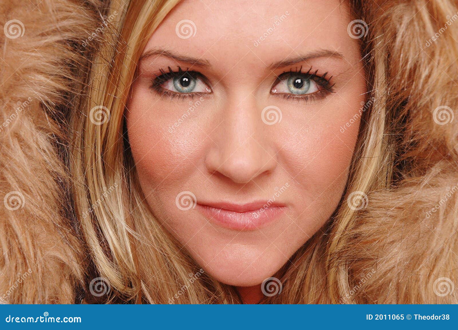 Elegant Face Royalty Free Stock Photo - Image: 2011065