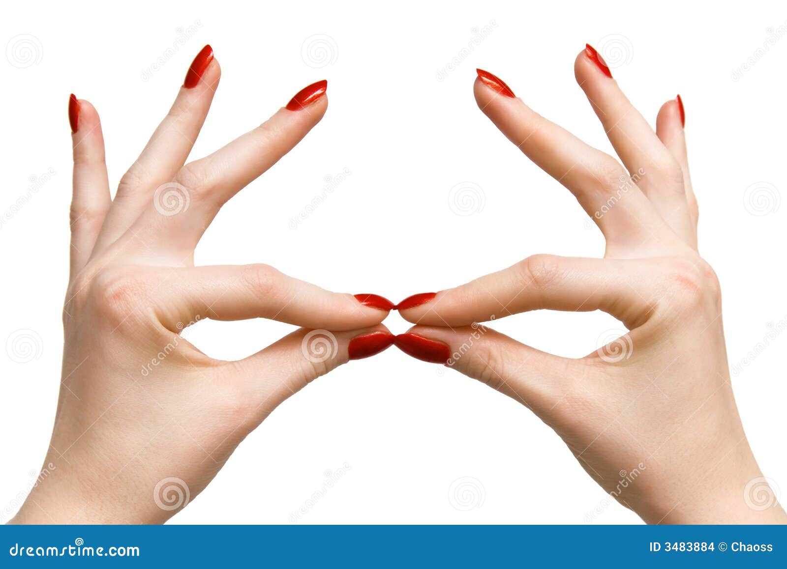 Elegant Woman Hands Stock Images - Image: 3483884