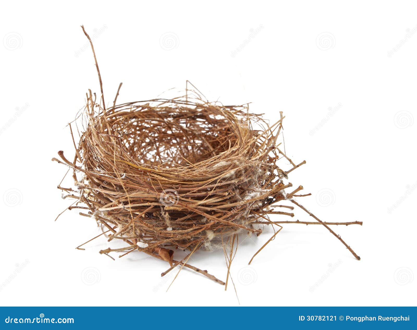 clipart empty nest - photo #15