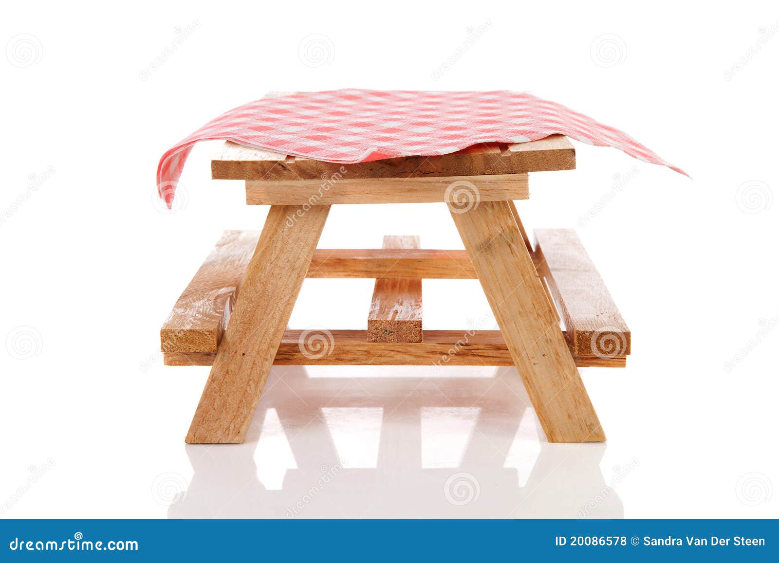 Picnic Table with Tablecloth