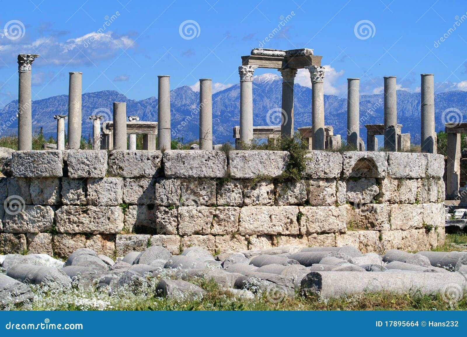 download download der schall des schofar israels feste
