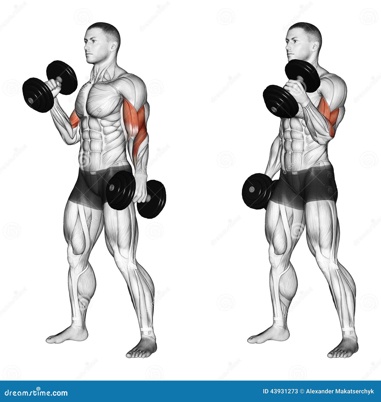 Pega alto cuerpazo con las series del gym lince !!!