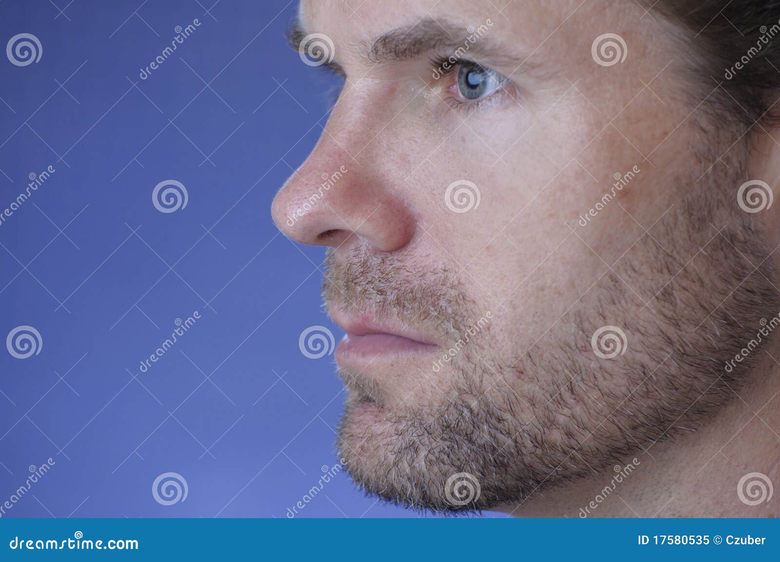 Face Profile Royalty Free Stock Photo - Image: 17580535