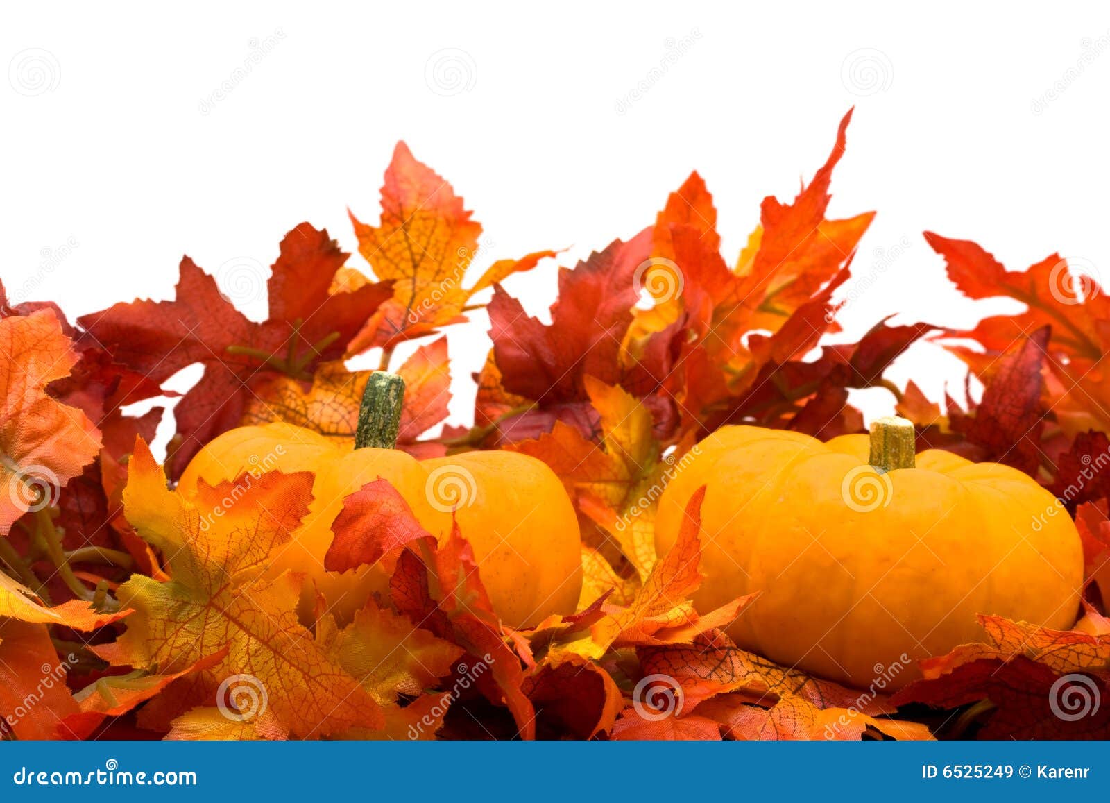 Fall Harvest Royalty Free Stock Images - Image: 6525249