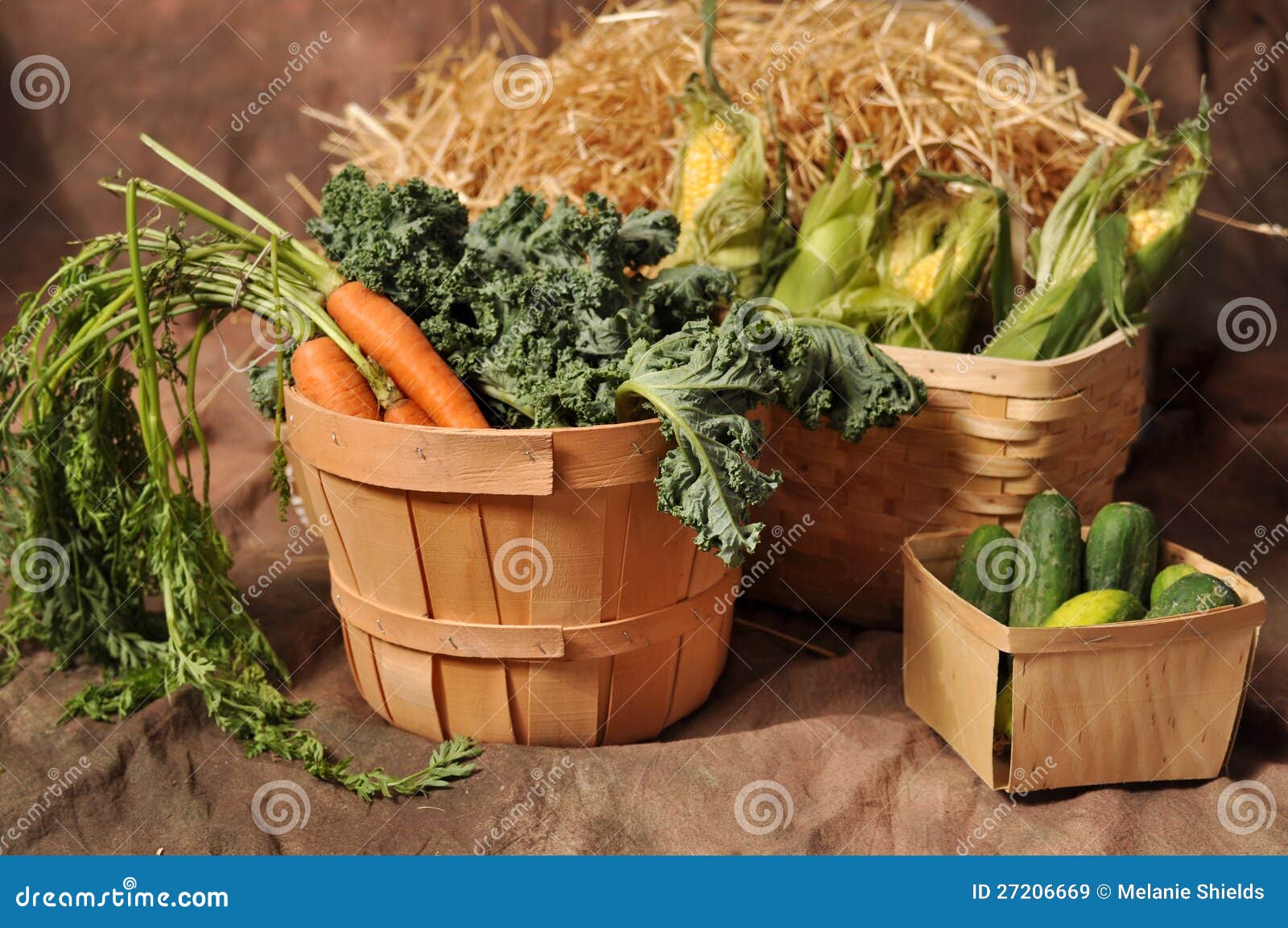  - fall-vegetables-baskets-27206669