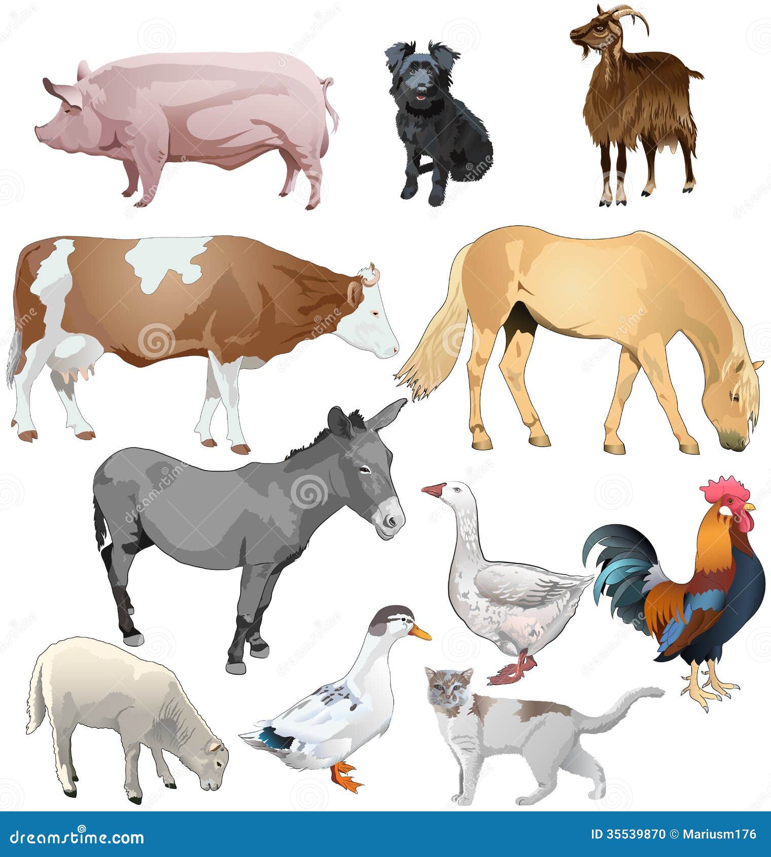 clipart of different animals - photo #30