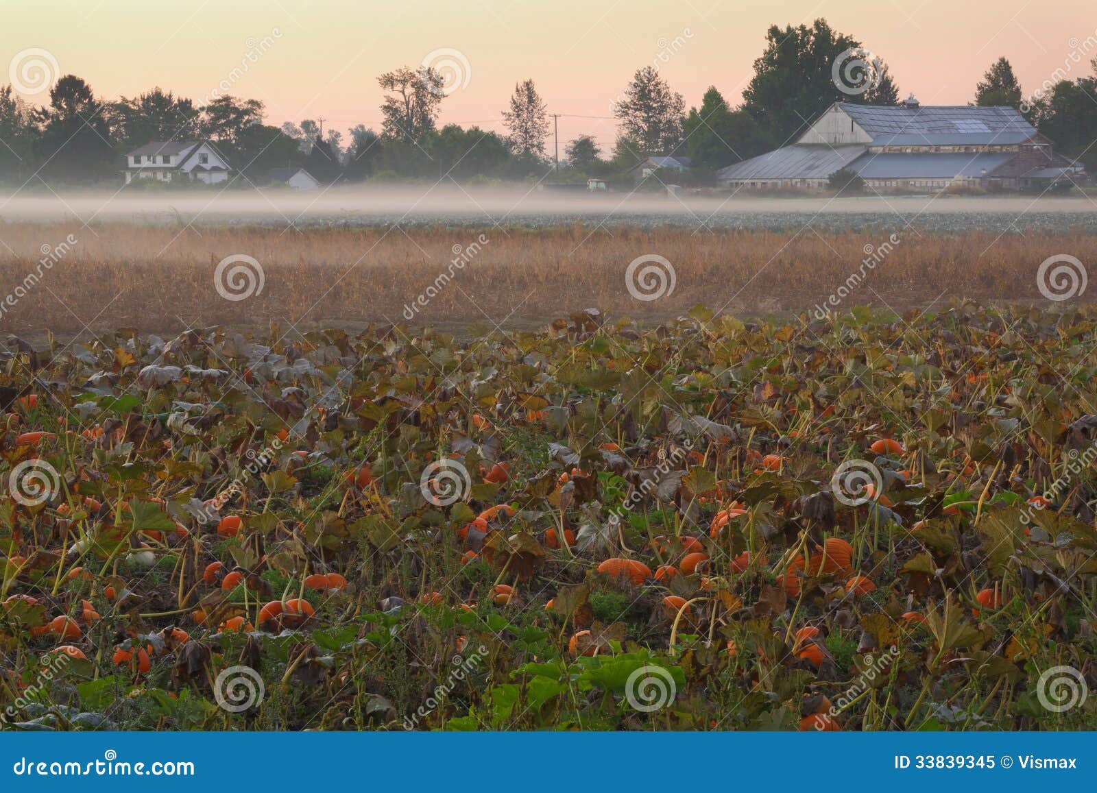 Richmond Area Pumpkin Patch