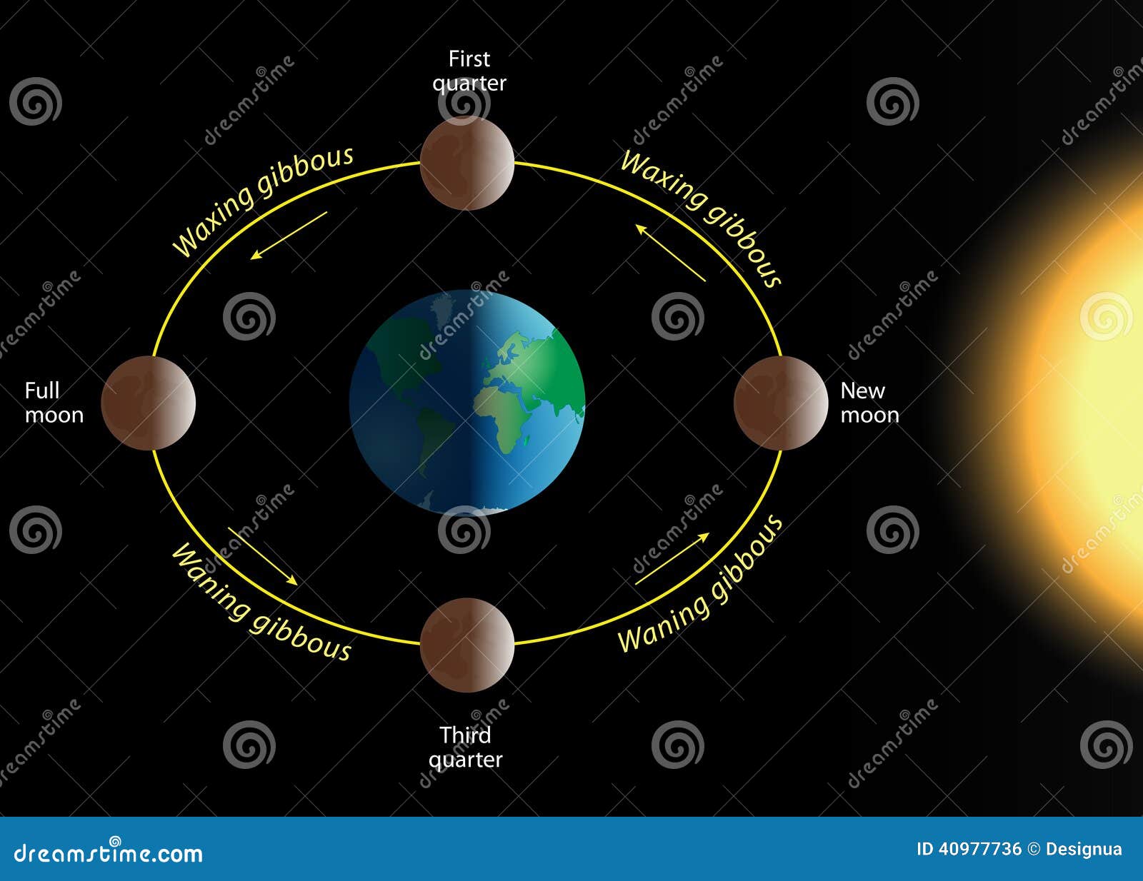 Фазы луны схемы для детей Фазы луны схемы для детей