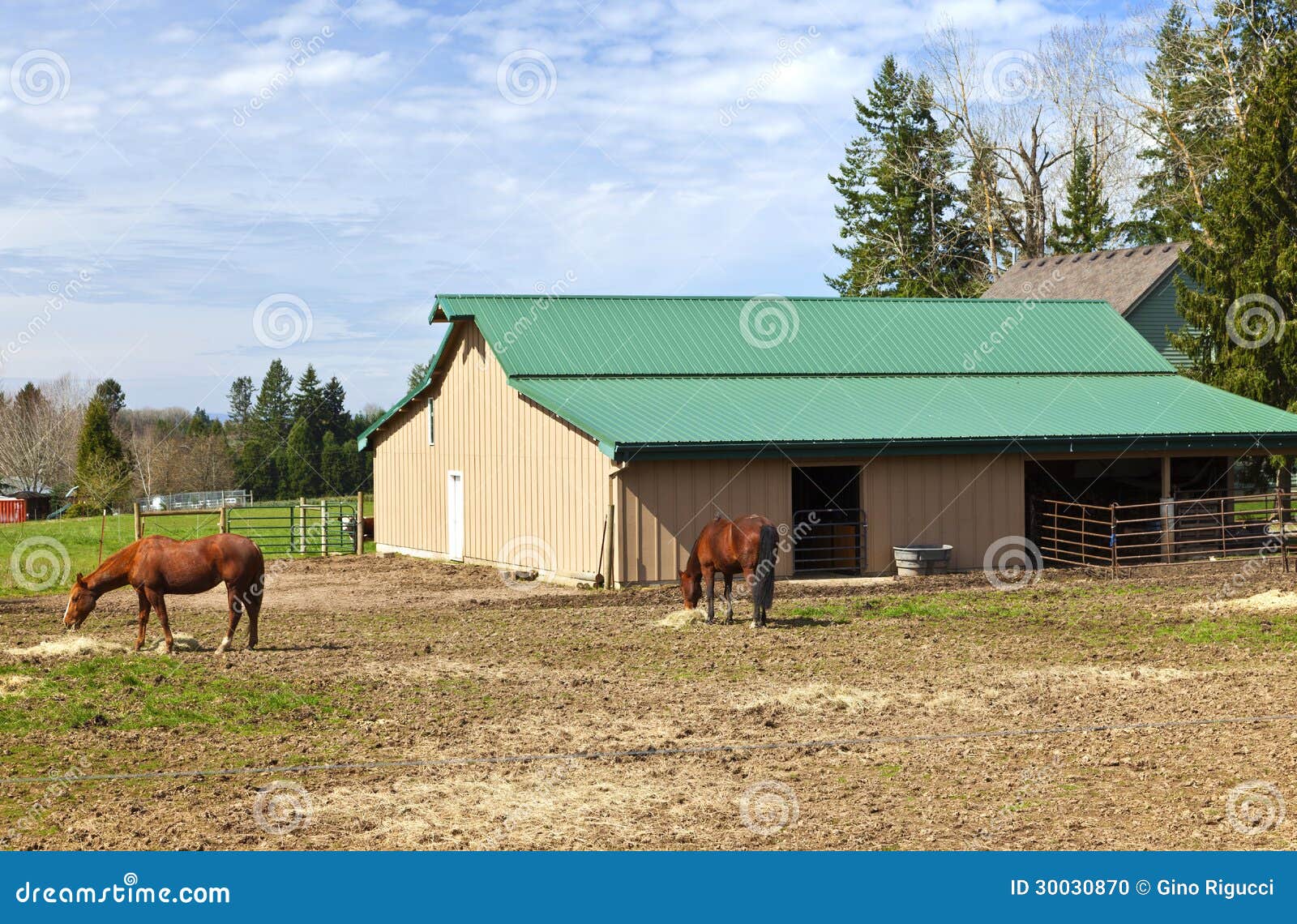 Stock Photo: Feeding horses and barn in rural Oregon.