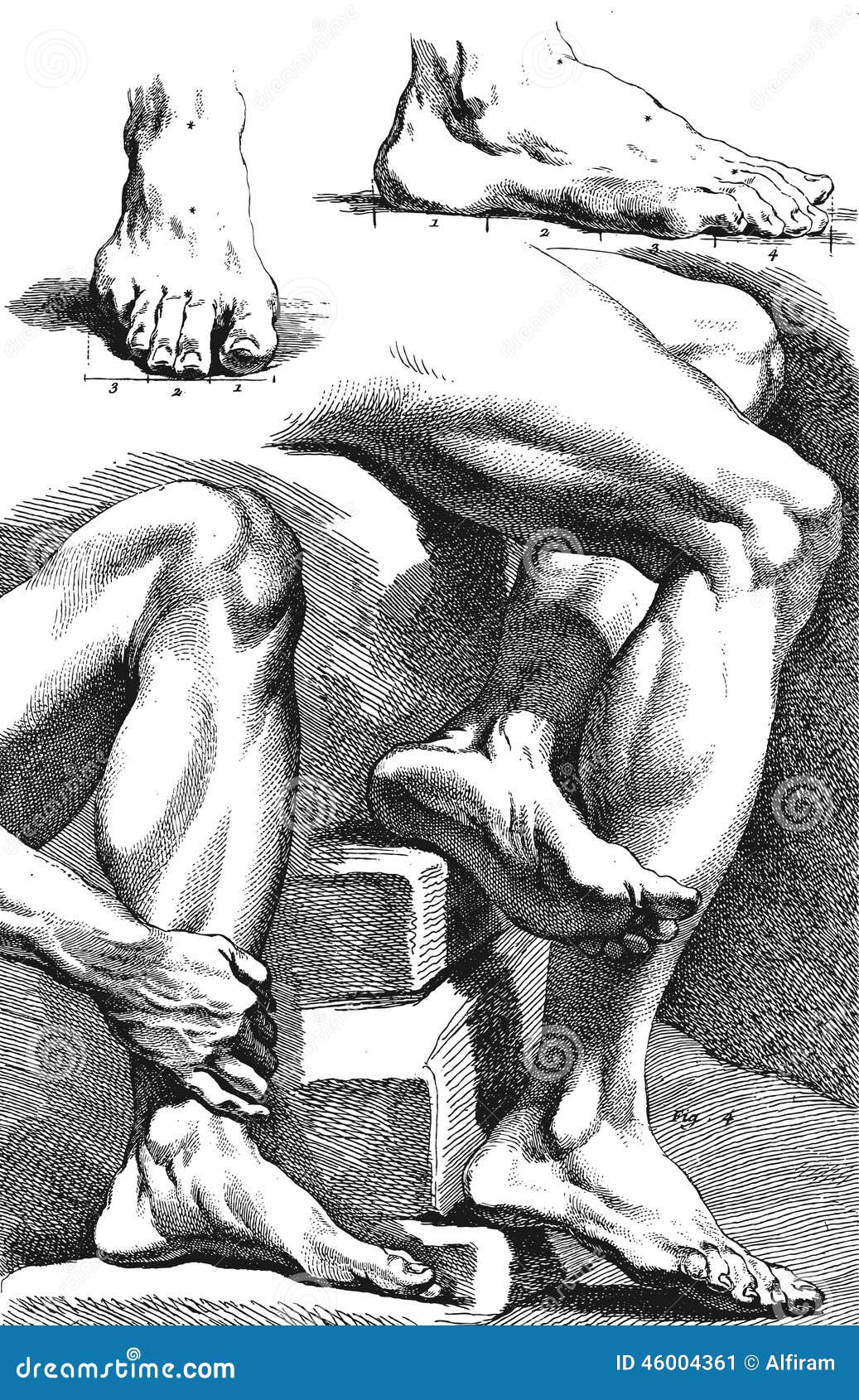 essays on the encyclopdie of diderot and dalembert essays on the encyclopdie of diderot and dalembert